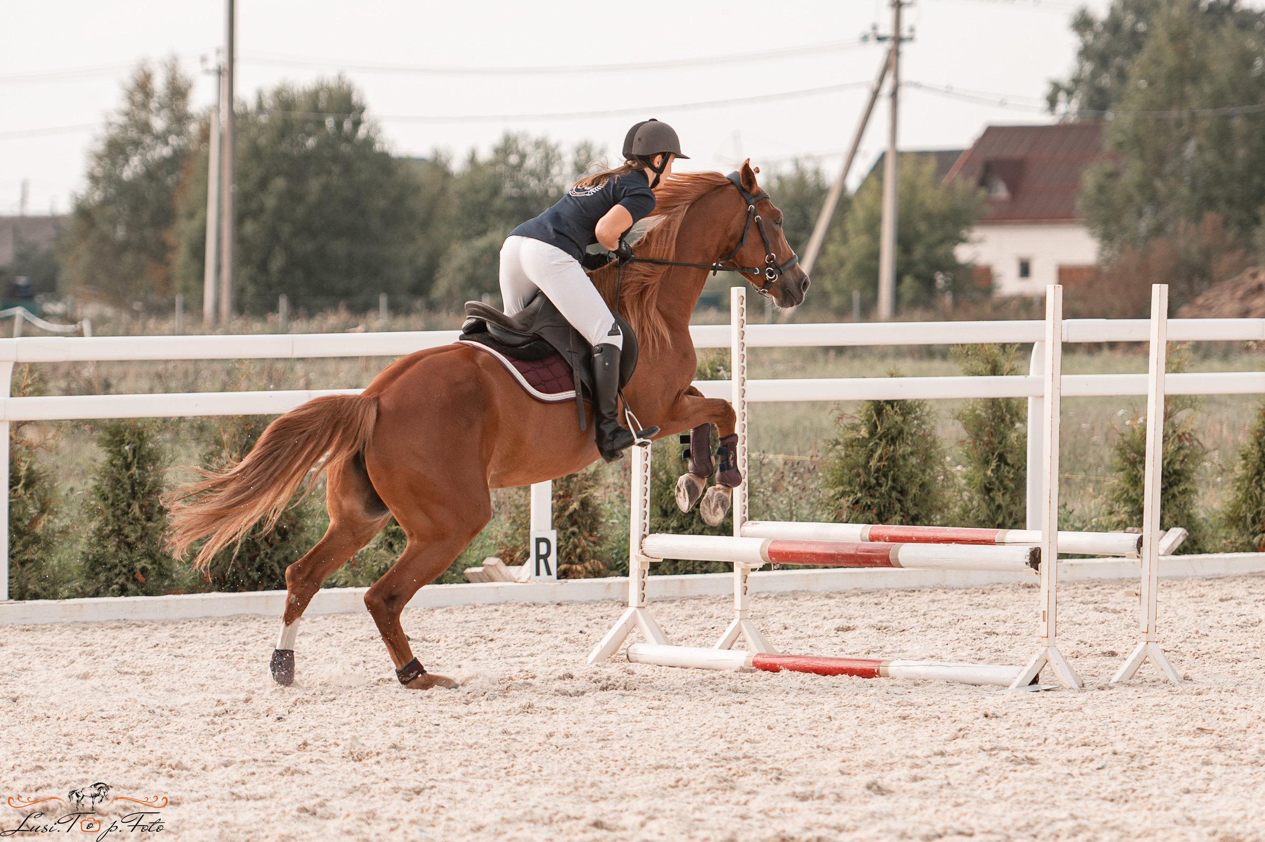 Открытая тренировка по конкуру в КК Equipark. Конный и фотограф с животными в Твери Топталова Люся