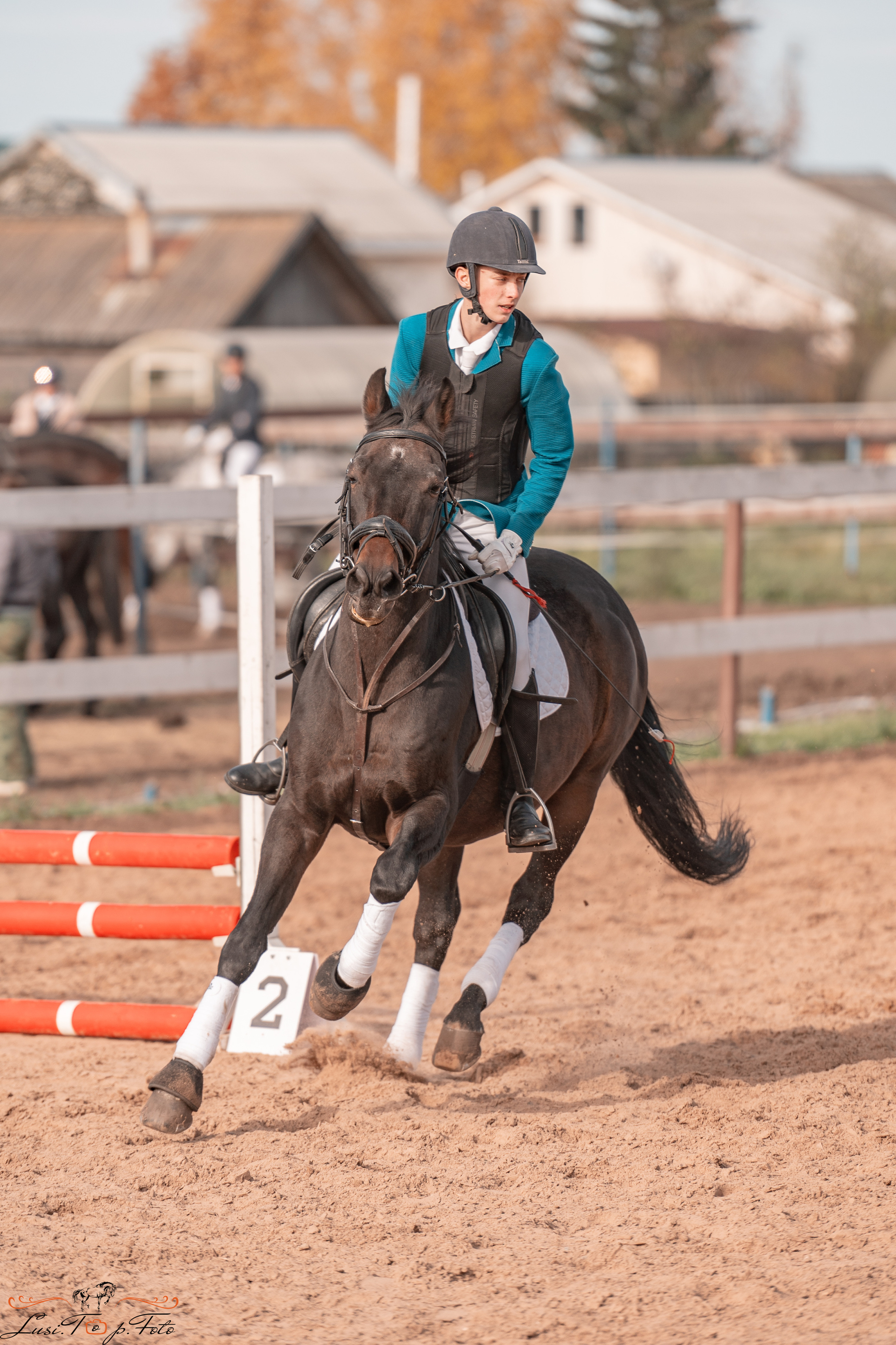 Открытая тренировка КК «Резвая». Конный и фотограф с животными в Твери Топталова Люся