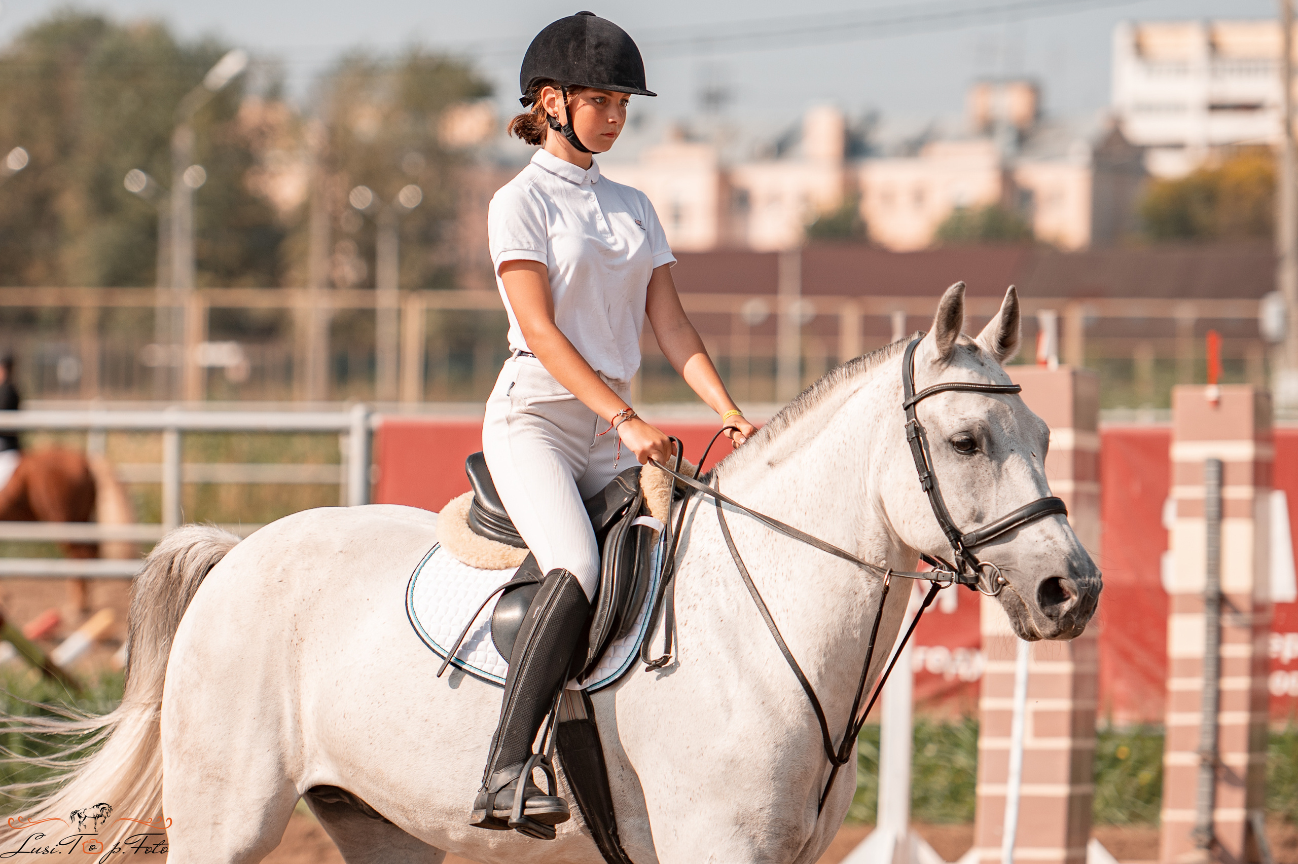 Турнир по выездке и конкуру памяти Н. Ю. Серовой (второй день — конкур). Конный и фотограф с животными в Твери Топталова Люся