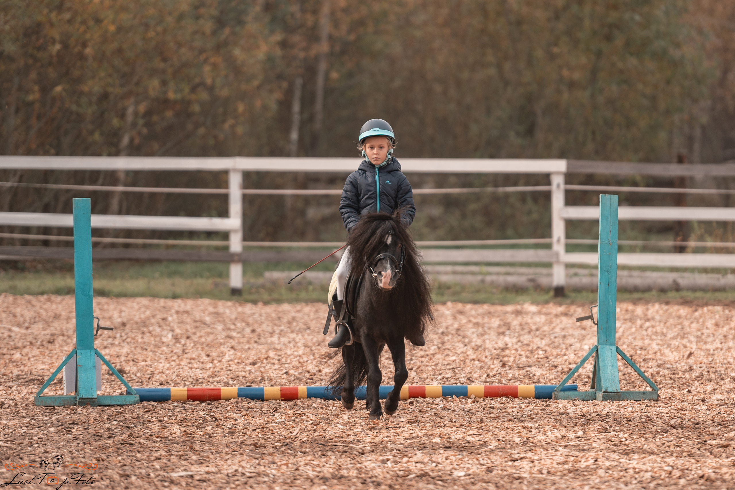 КК Траверсале Конкур. Конный и фотограф с животными в Твери Топталова Люся