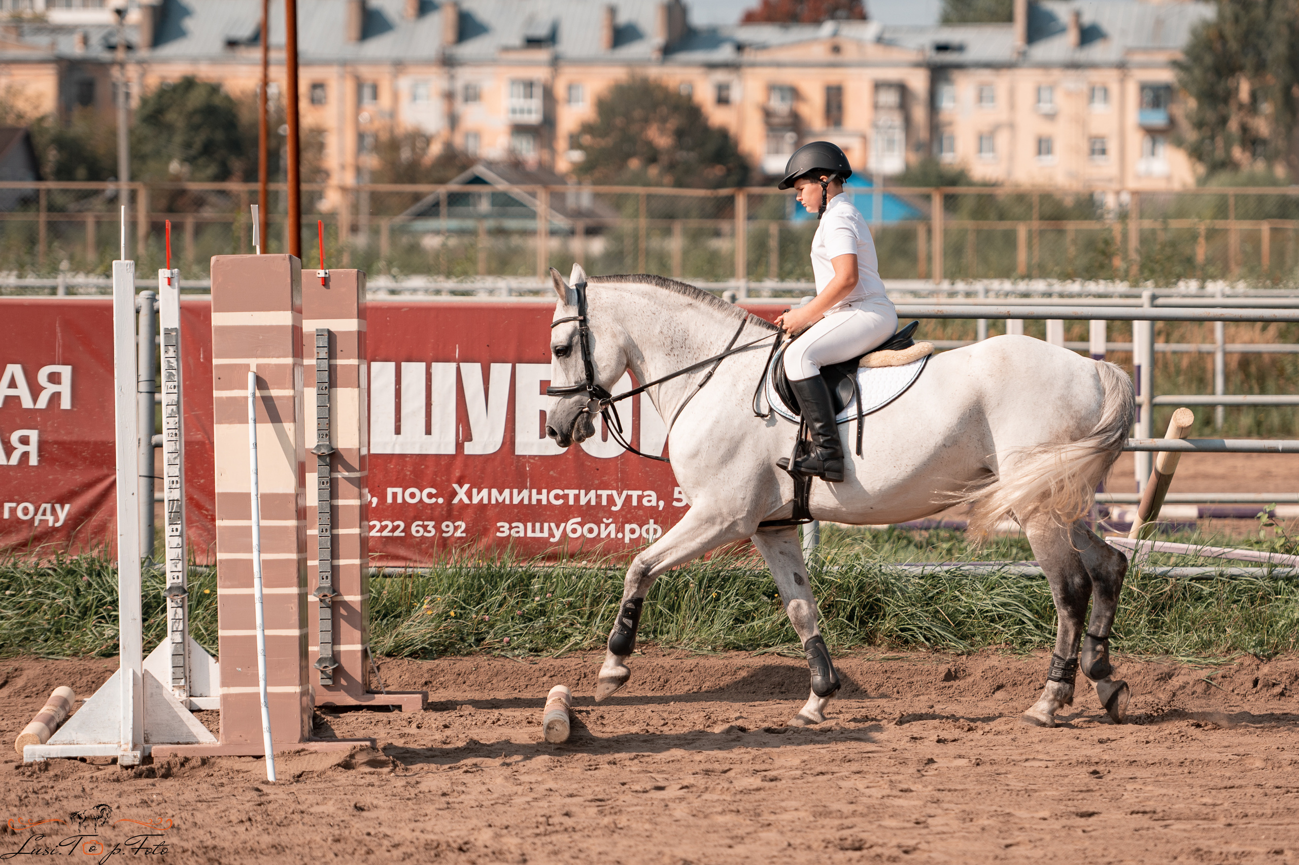 Турнир по выездке и конкуру памяти Н. Ю. Серовой (второй день — конкур). Конный и фотограф с животными в Твери Топталова Люся