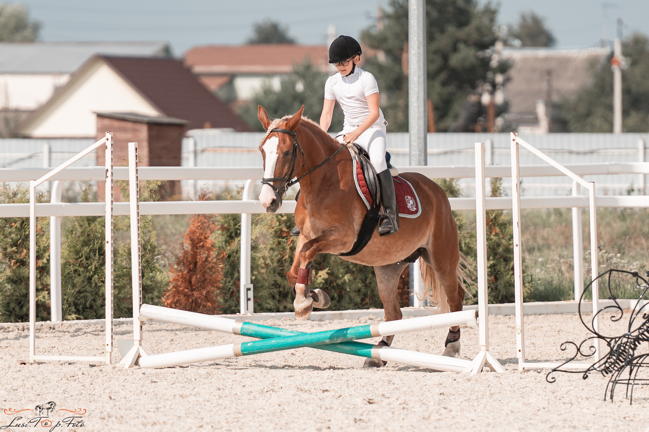 Открытая тренировка по конкуру в КК Equipark. Конный и фотограф с животными в Твери Топталова Люся