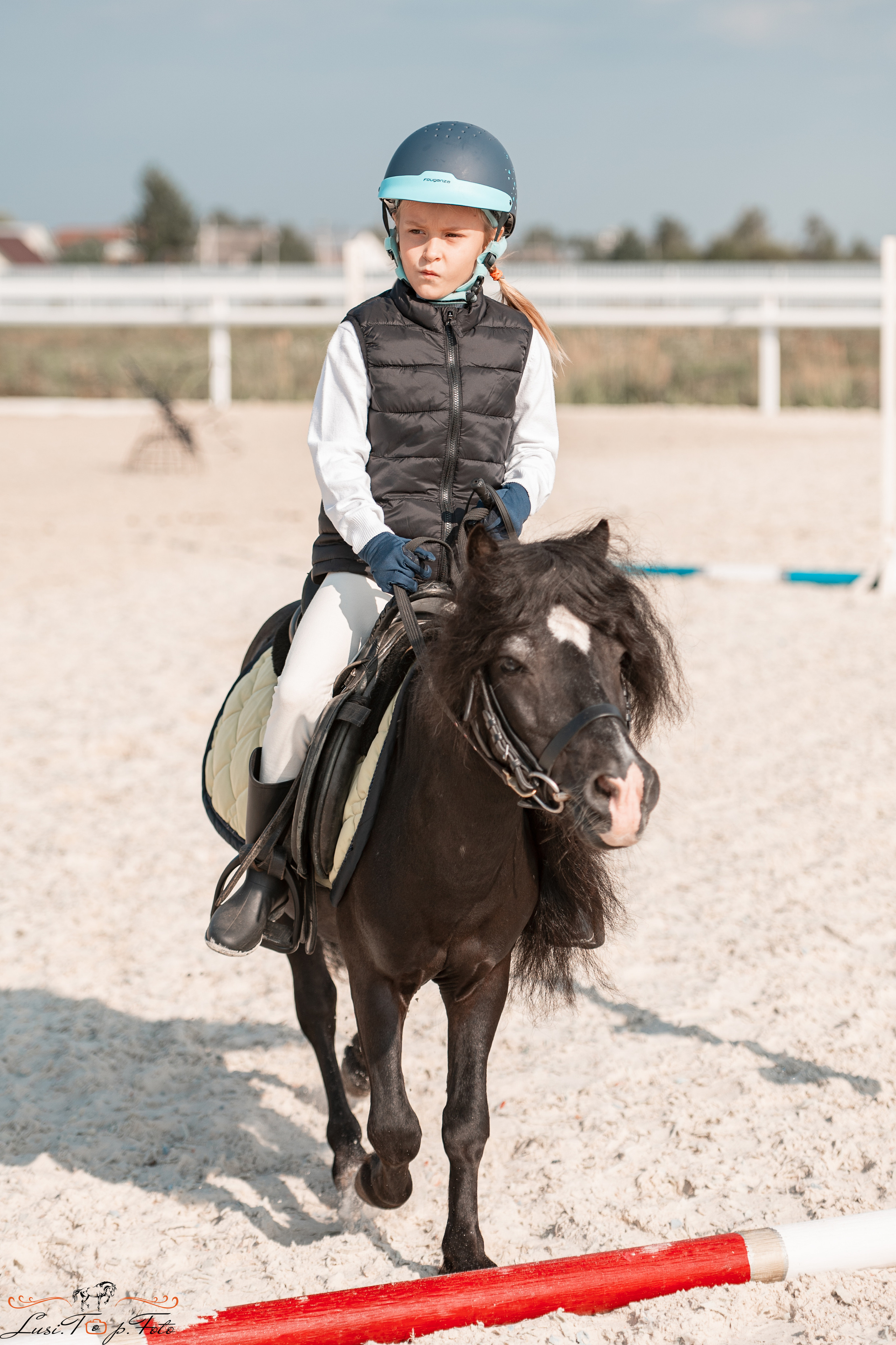 Открытая тренировка по конкуру в КК Equipark. Конный и фотограф с животными в Твери Топталова Люся
