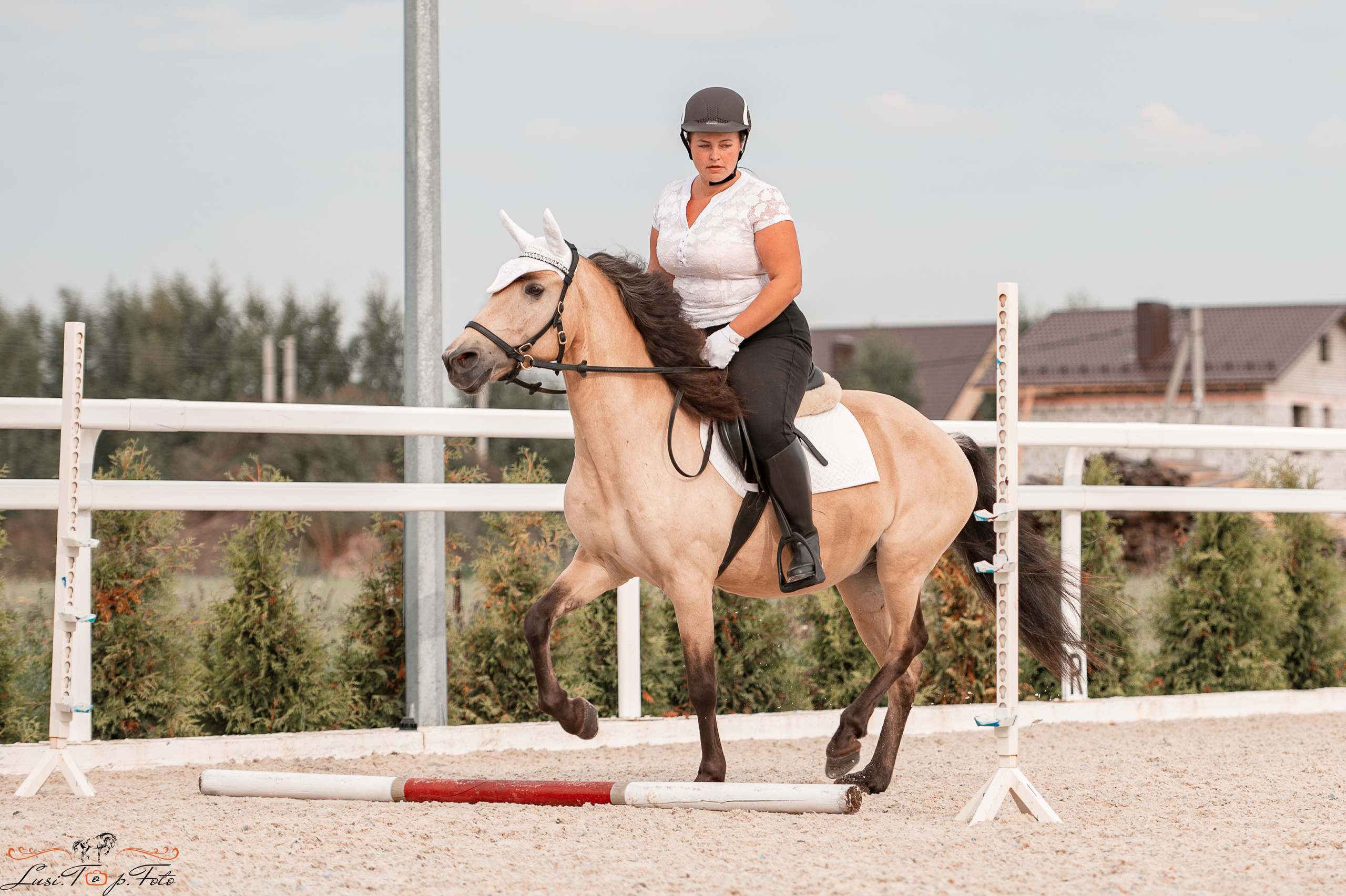 Открытая тренировка по конкуру в КК Equipark. Конный и фотограф с животными в Твери Топталова Люся