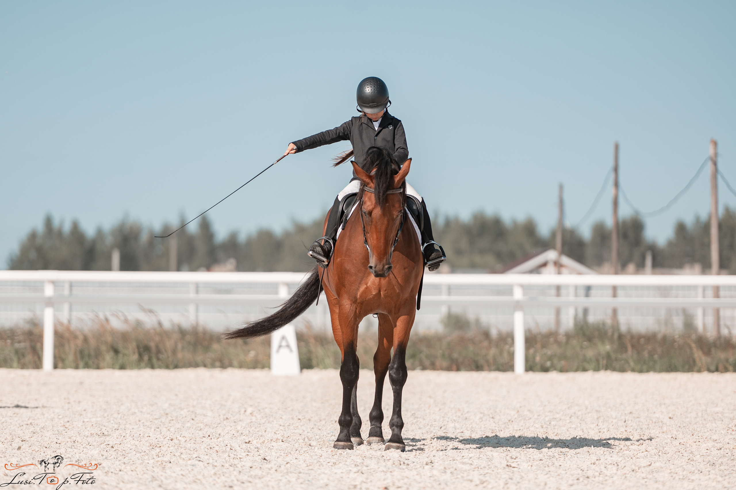 Открытая тренировка по выездке в КК Equipark. Конный и фотограф с животными в Твери Топталова Люся