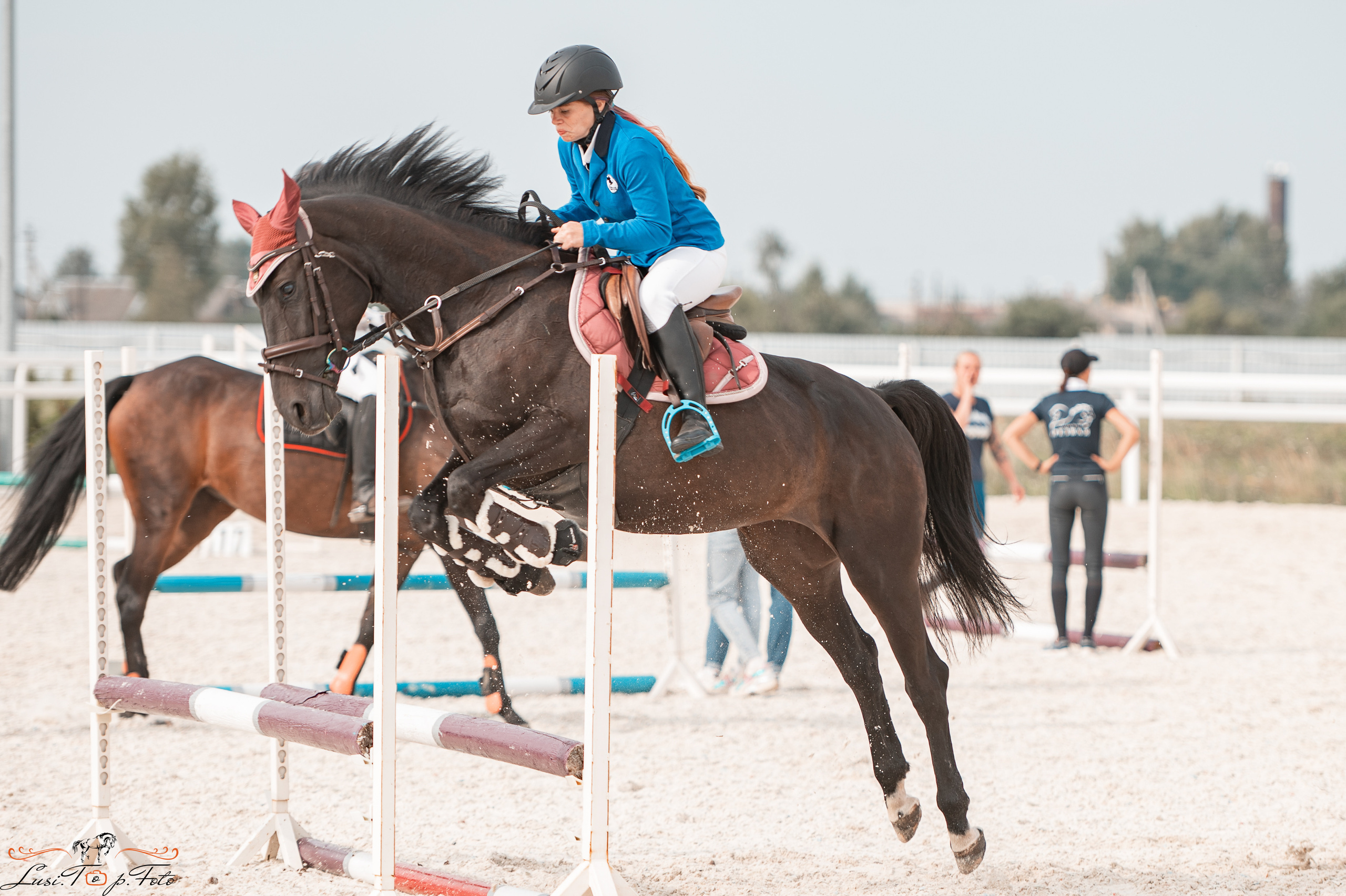 Открытая тренировка по конкуру в КК Equipark. Конный и фотограф с животными в Твери Топталова Люся