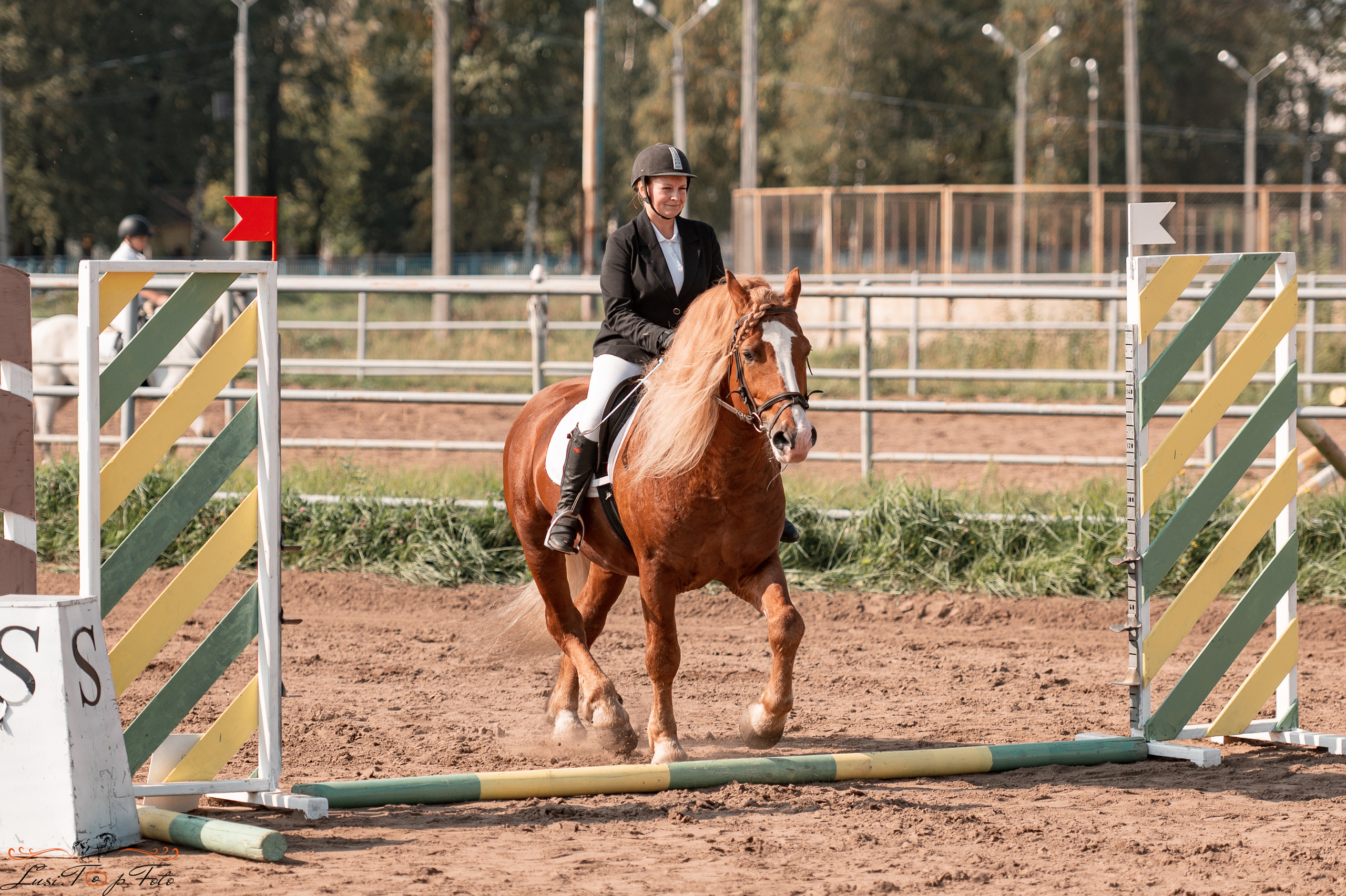Турнир по выездке и конкуру памяти Н. Ю. Серовой (второй день — конкур). Конный и фотограф с животными в Твери Топталова Люся