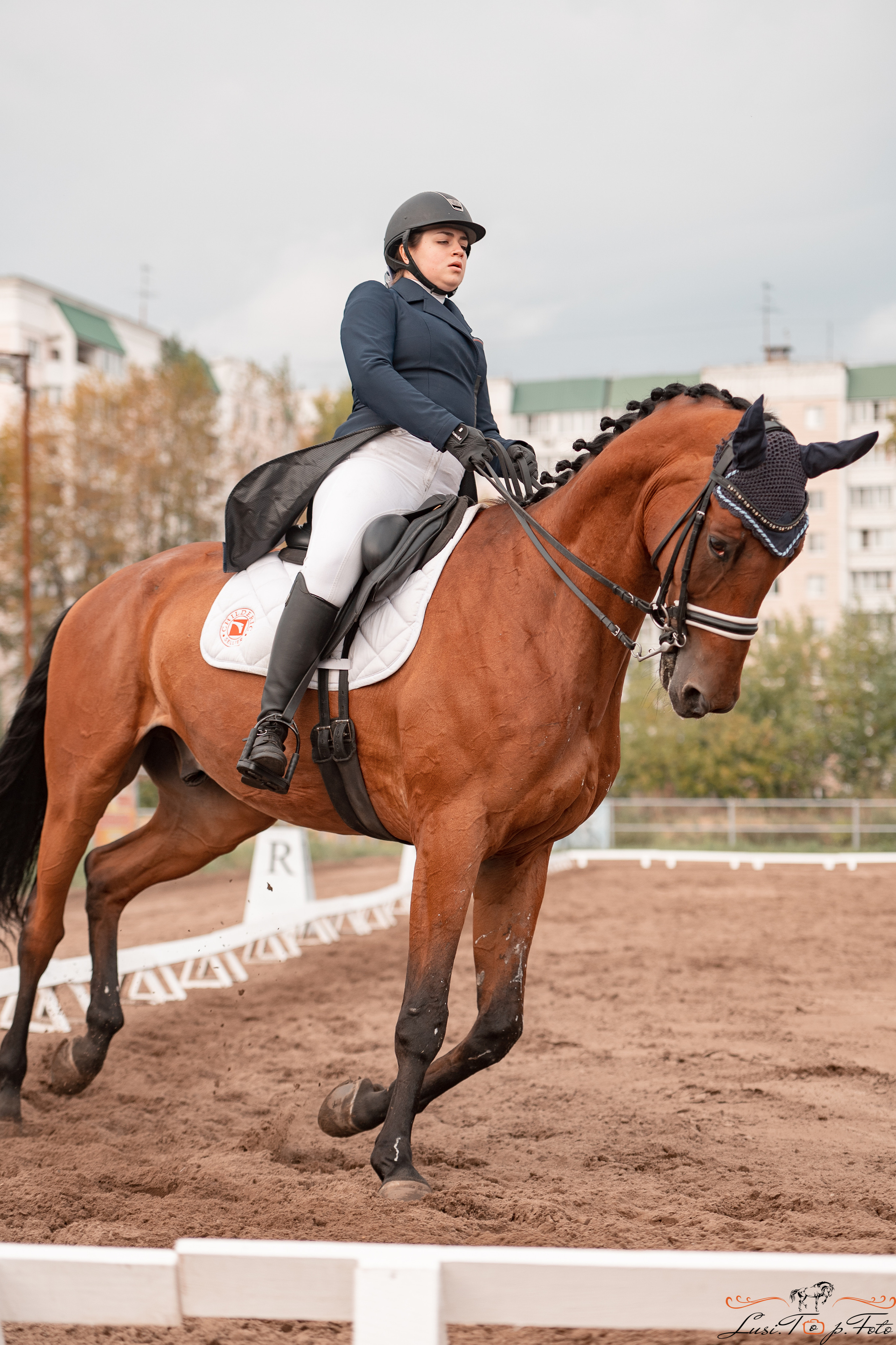 Турнир по выездке и конкуру памяти Н. Ю. Серовой (день 1 — выездка). Конный и фотограф с животными в Твери Топталова Люся
