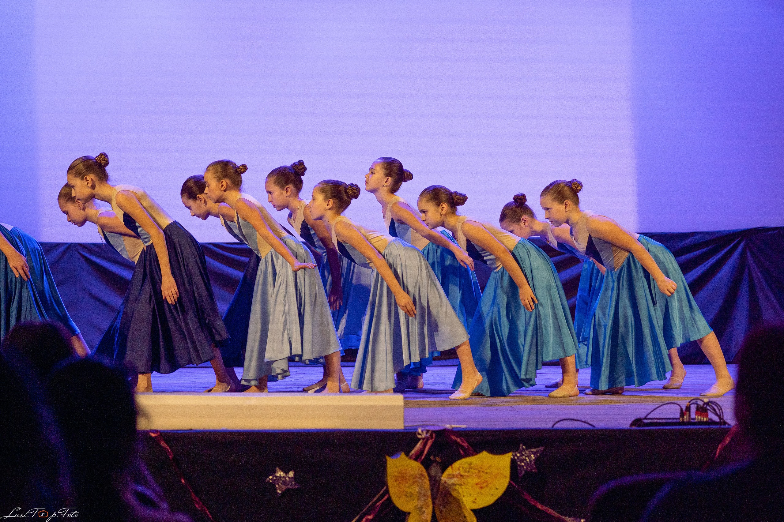 Концерт День матери в Истоках. Конный и фотограф с животными в Твери Топталова Люся