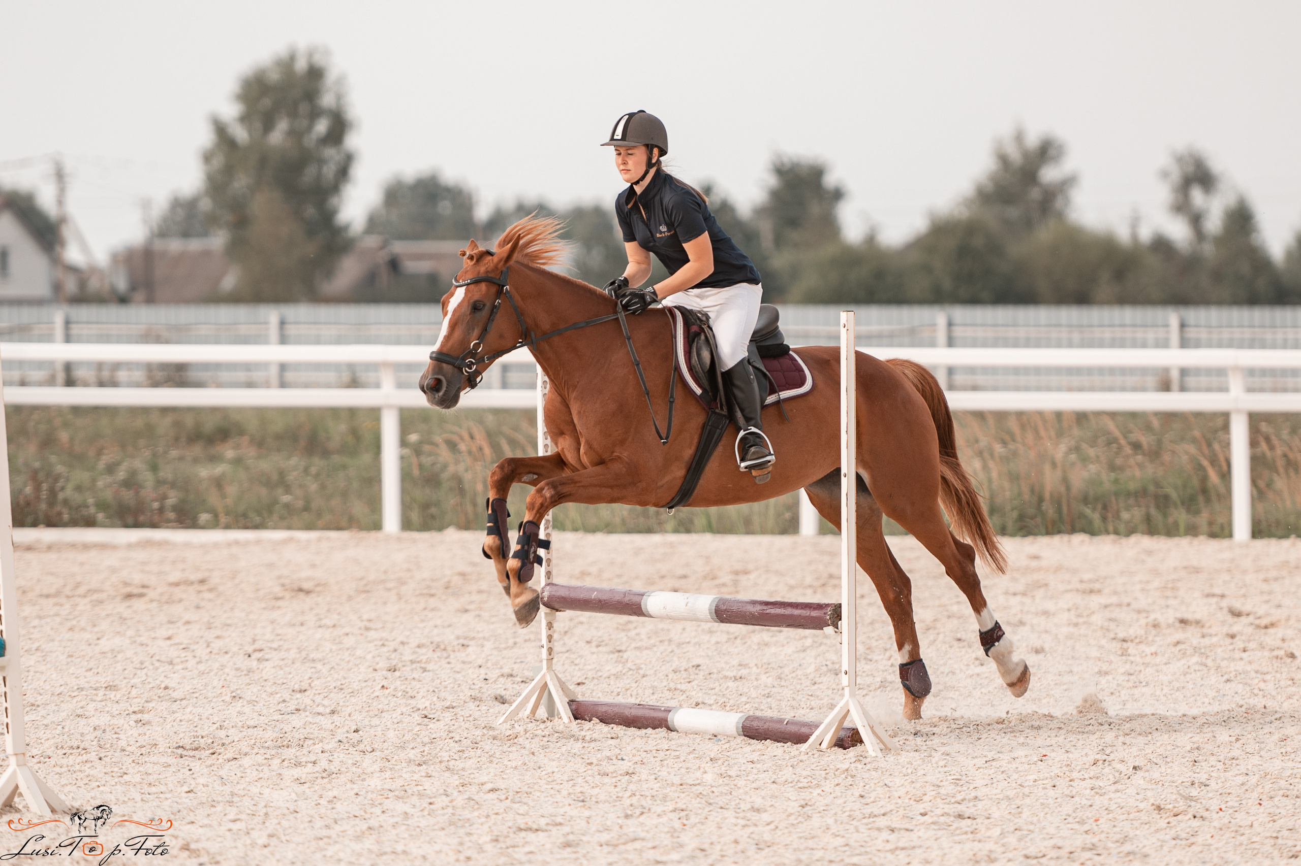 Открытая тренировка по конкуру в КК Equipark. Конный и фотограф с животными в Твери Топталова Люся