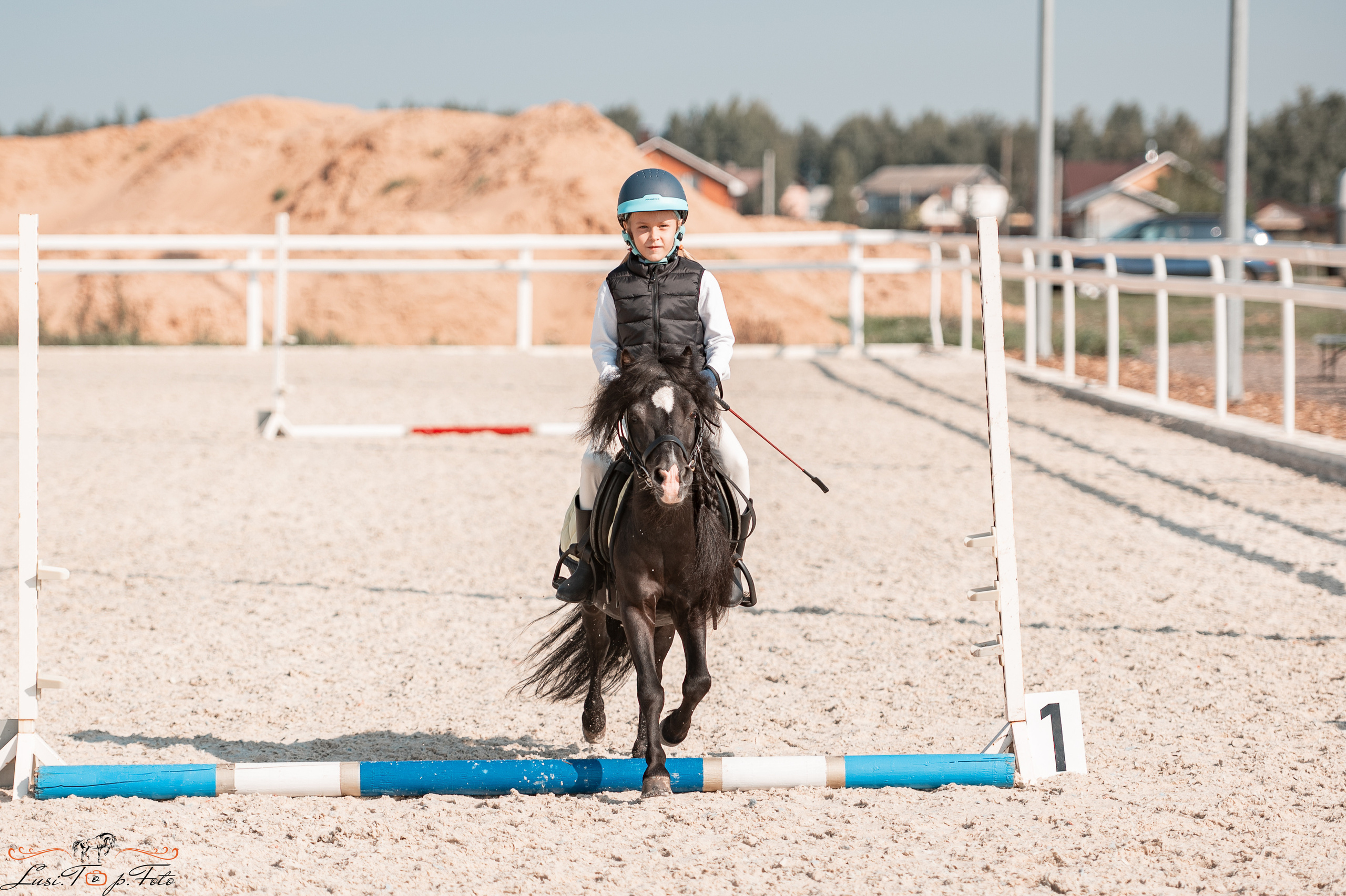 Открытая тренировка по конкуру в КК Equipark. Конный и фотограф с животными в Твери Топталова Люся