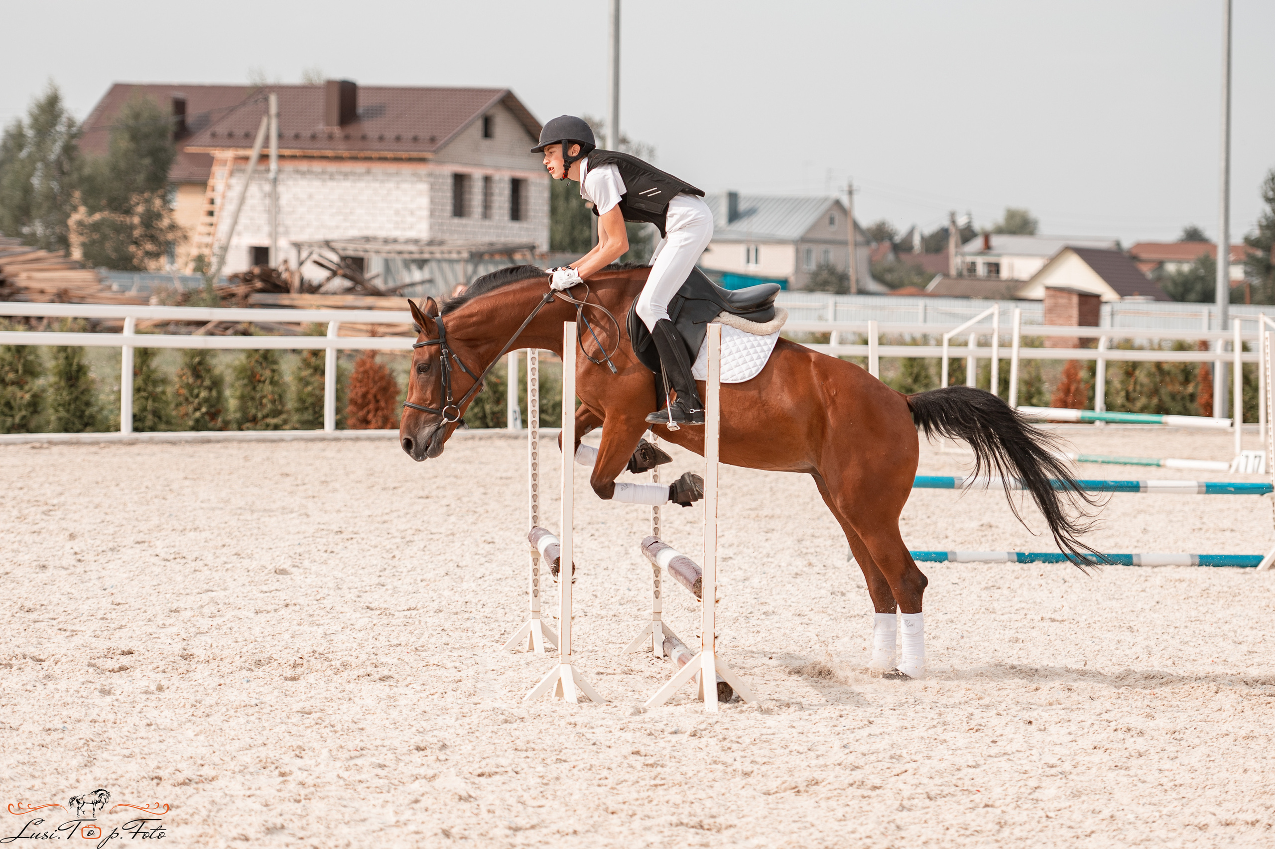 Открытая тренировка по конкуру в КК Equipark. Конный и фотограф с животными в Твери Топталова Люся