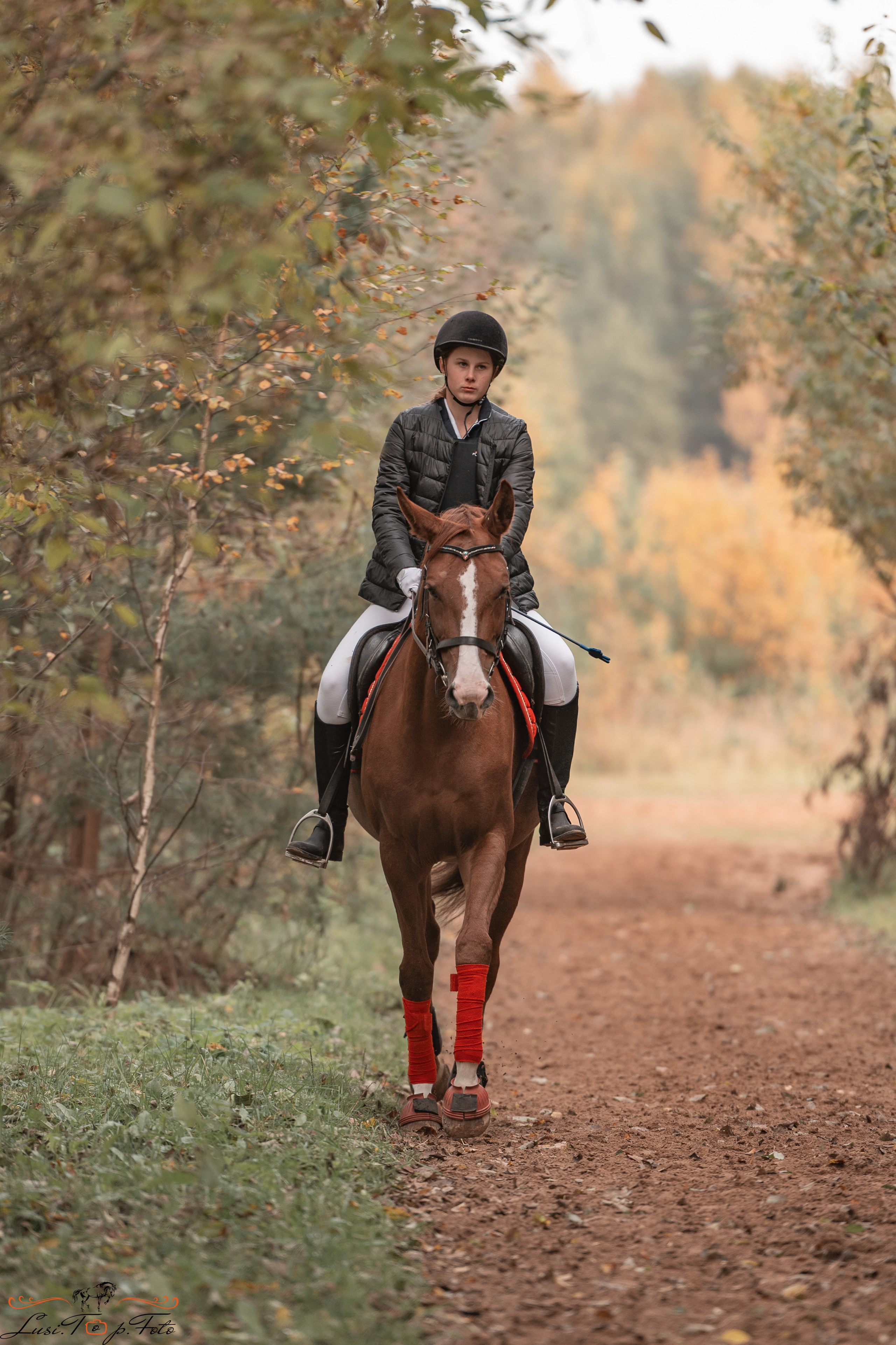 КК Траверсале Конкур. Конный и фотограф с животными в Твери Топталова Люся