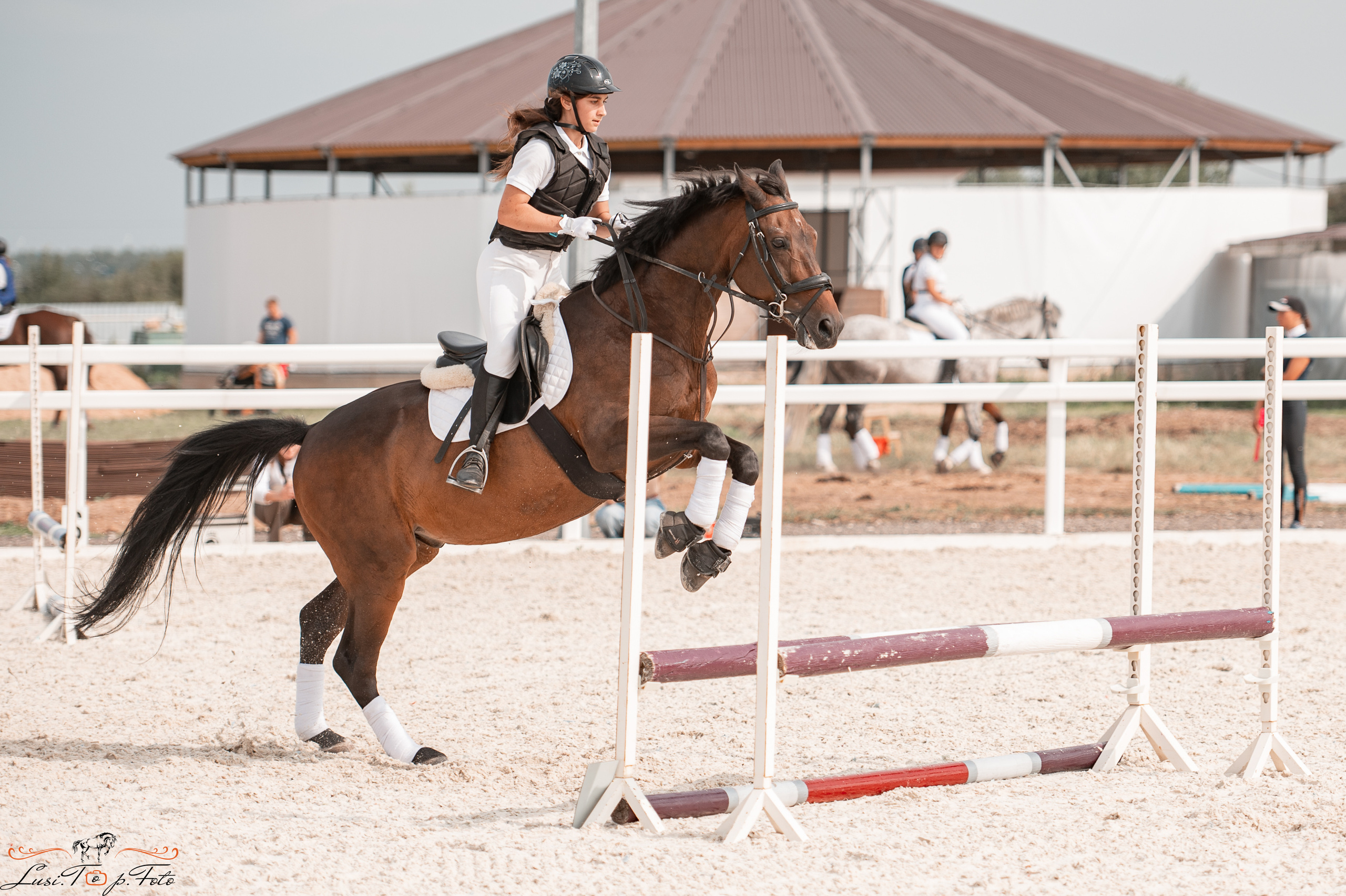 Открытая тренировка по конкуру в КК Equipark. Конный и фотограф с животными в Твери Топталова Люся