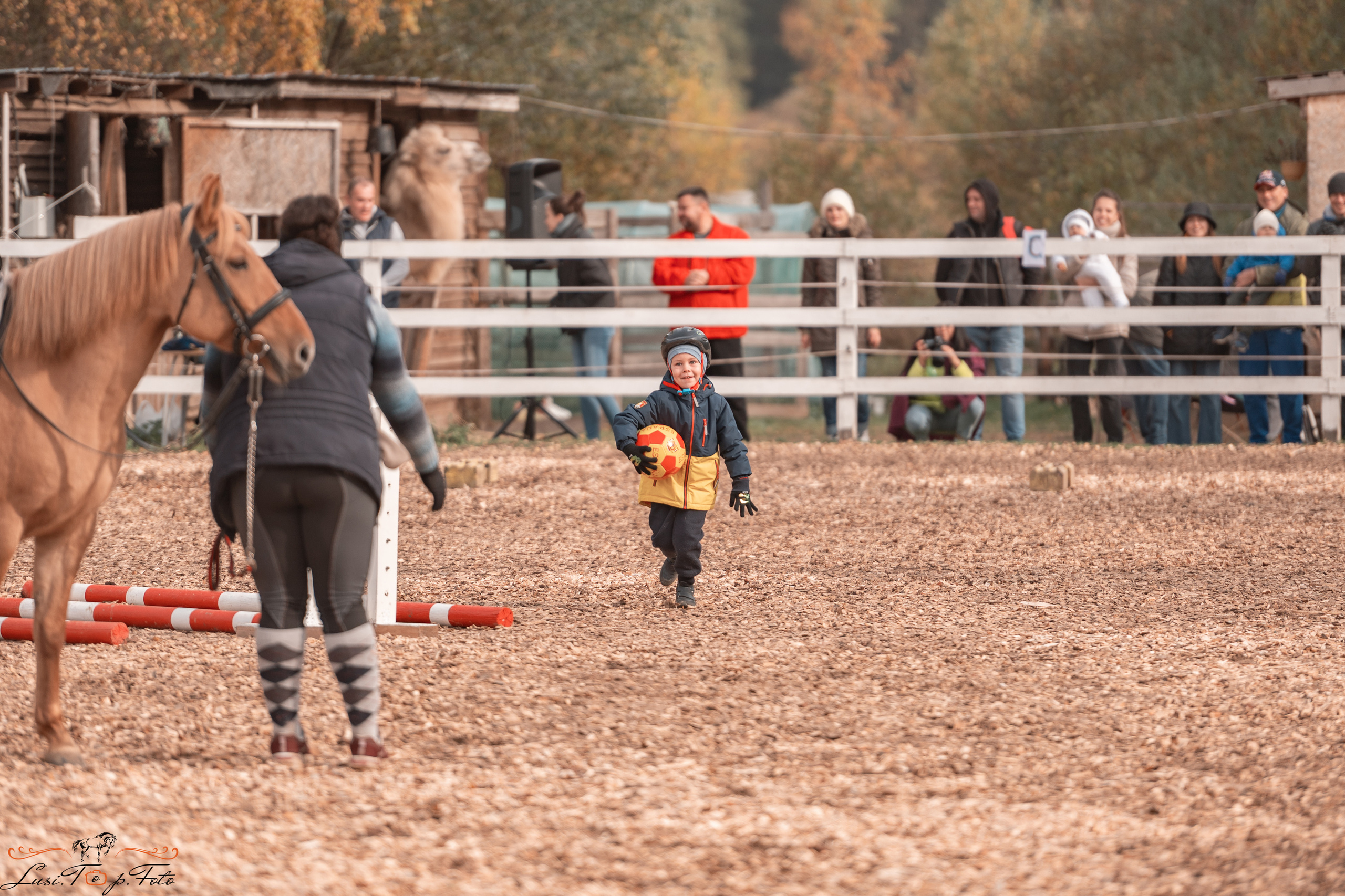 КК Траверсале Конкур. Конный и фотограф с животными в Твери Топталова Люся