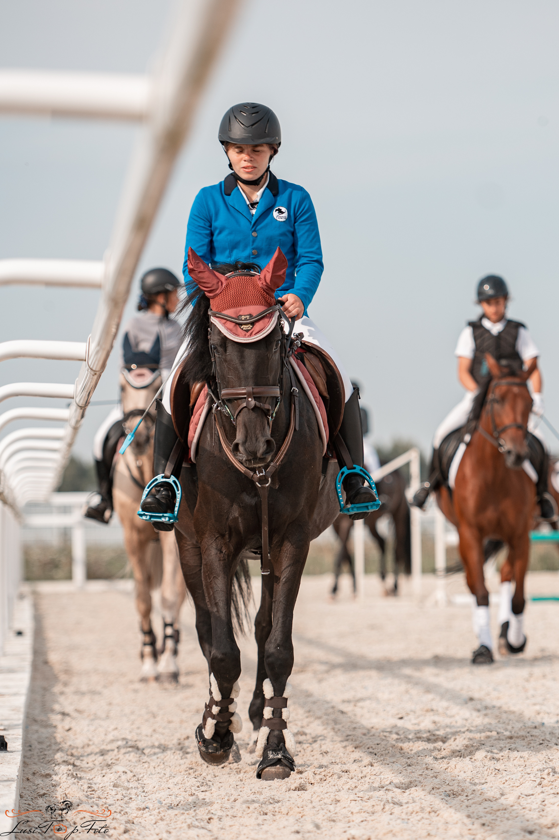 Открытая тренировка по конкуру в КК Equipark. Конный и фотограф с животными в Твери Топталова Люся