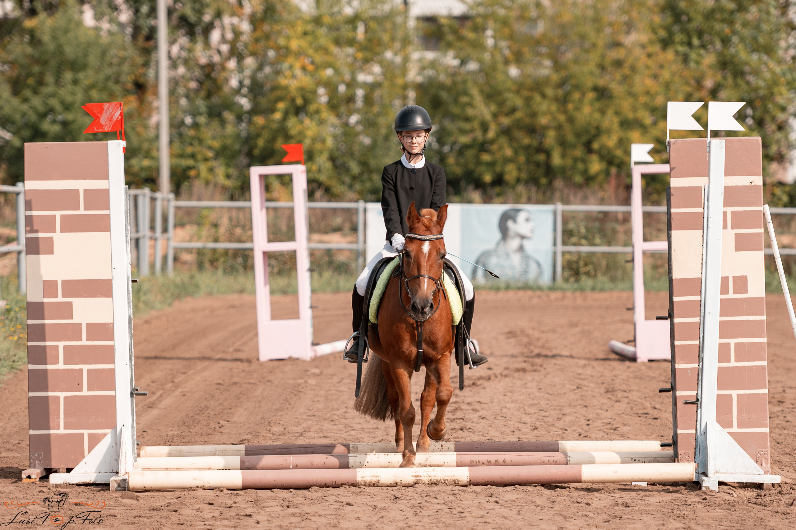 Турнир по выездке и конкуру памяти Н. Ю. Серовой (второй день — конкур). Конный и фотограф с животными в Твери Топталова Люся