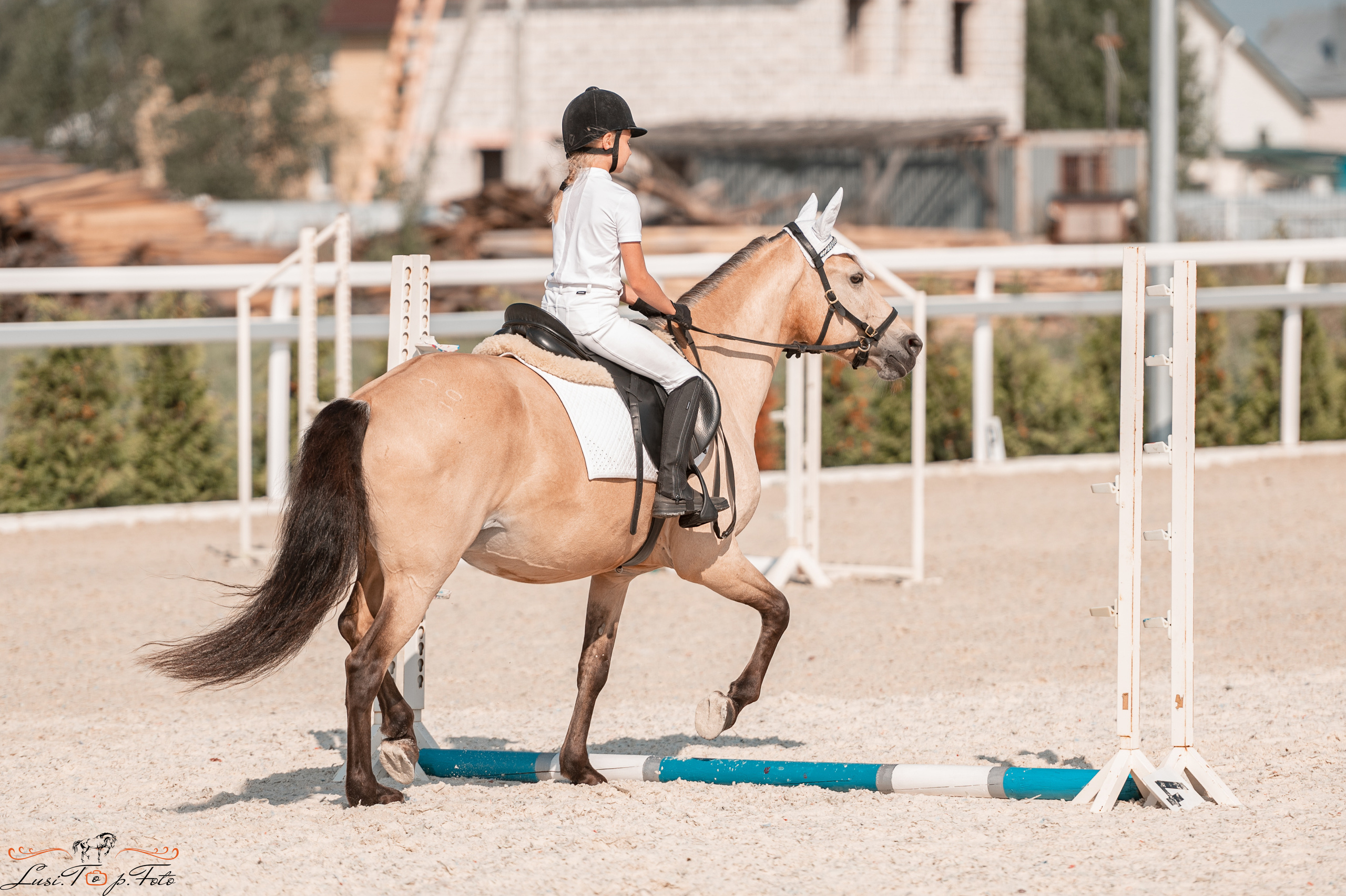 Открытая тренировка по конкуру в КК Equipark. Конный и фотограф с животными в Твери Топталова Люся