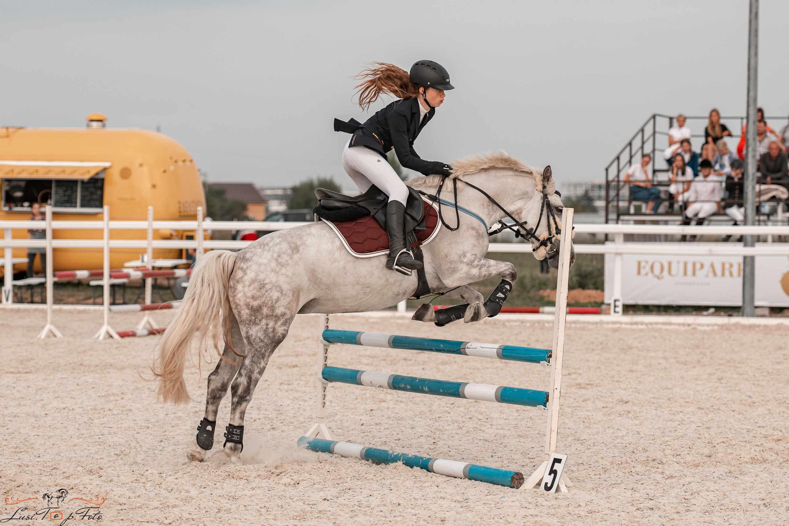 Открытая тренировка по конкуру в КК Equipark. Конный и фотограф с животными в Твери Топталова Люся