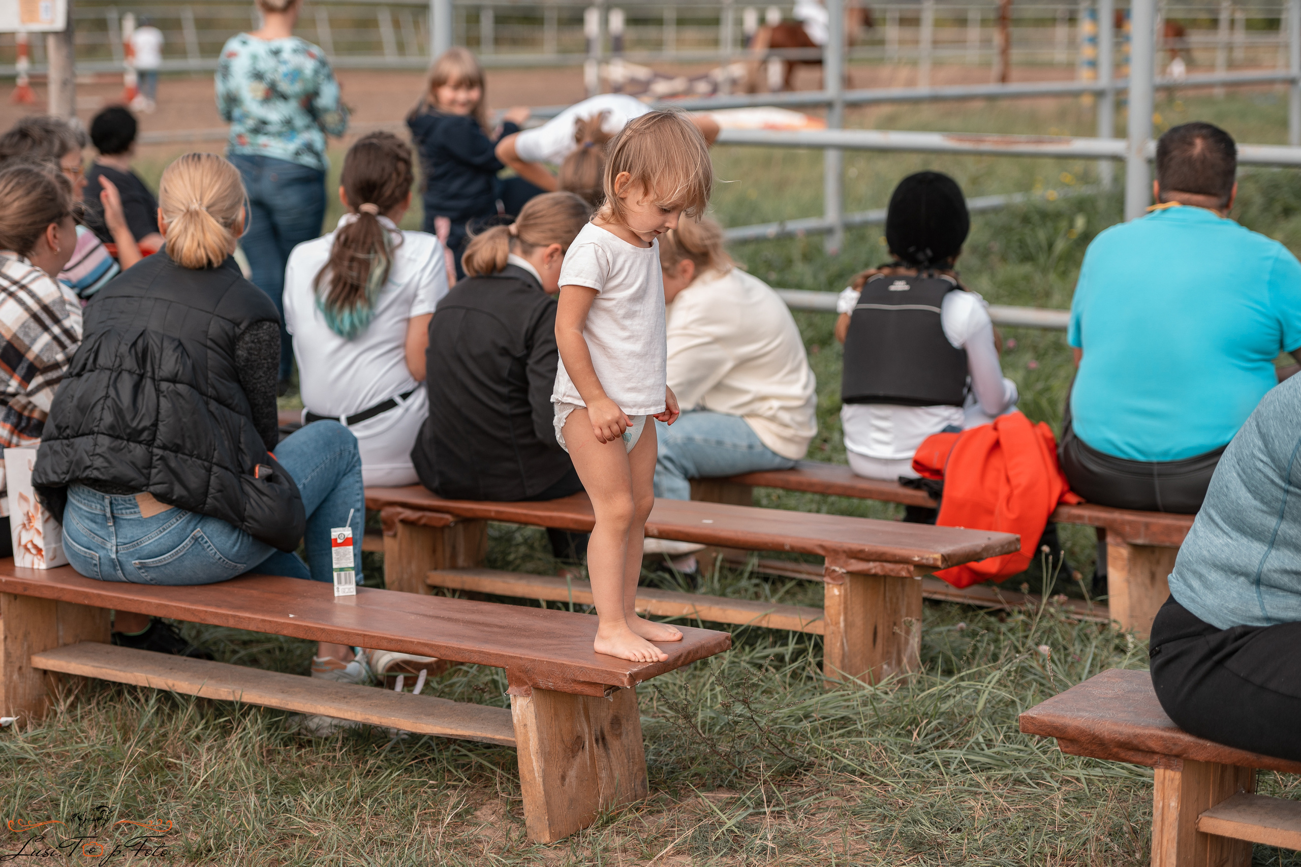 Турнир по выездке и конкуру памяти Н. Ю. Серовой (второй день — конкур). Конный и фотограф с животными в Твери Топталова Люся