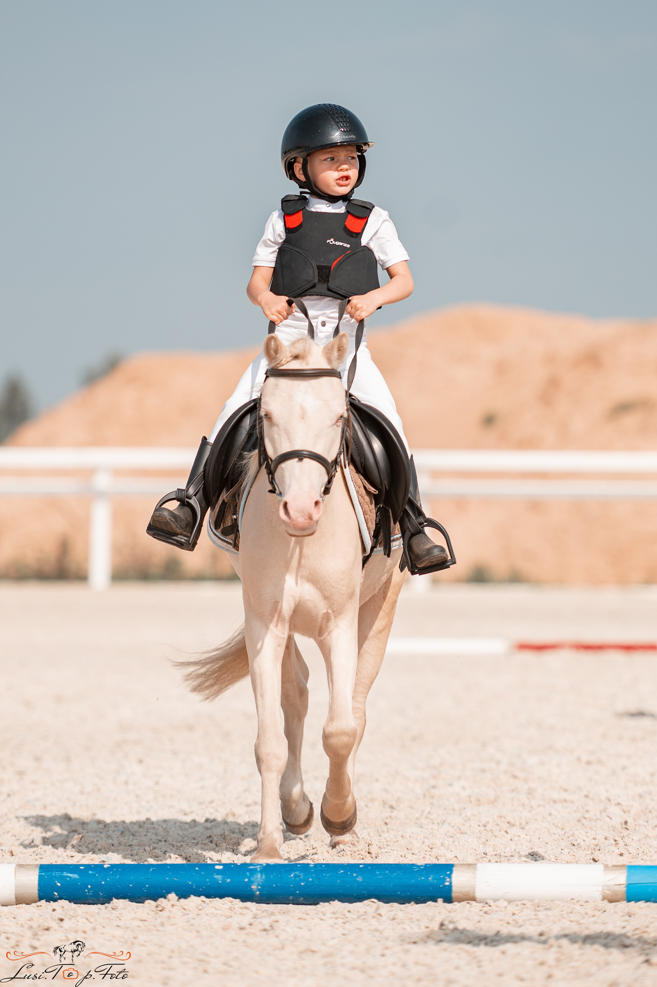 Открытая тренировка по конкуру в КК Equipark. Конный и фотограф с животными в Твери Топталова Люся