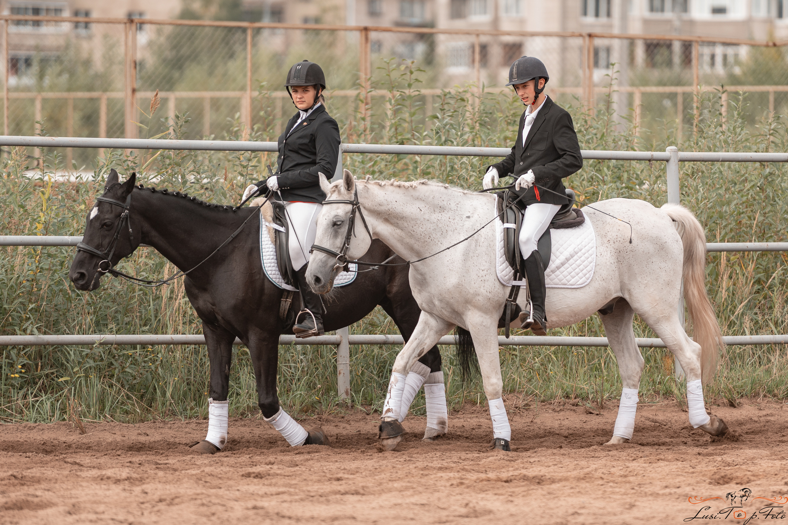 Турнир по выездке и конкуру памяти Н. Ю. Серовой (день 1 — выездка). Конный и фотограф с животными в Твери Топталова Люся