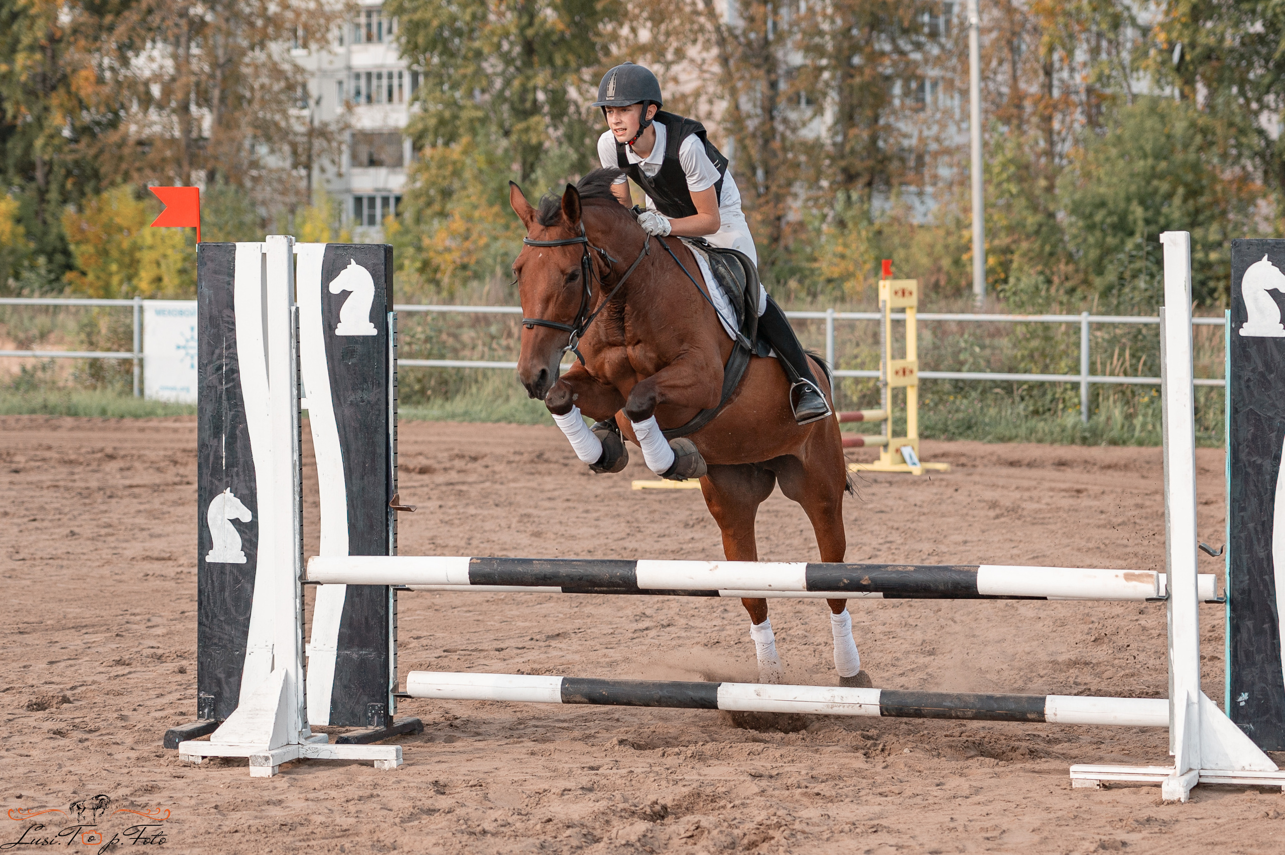Турнир по выездке и конкуру памяти Н. Ю. Серовой (второй день — конкур). Конный и фотограф с животными в Твери Топталова Люся
