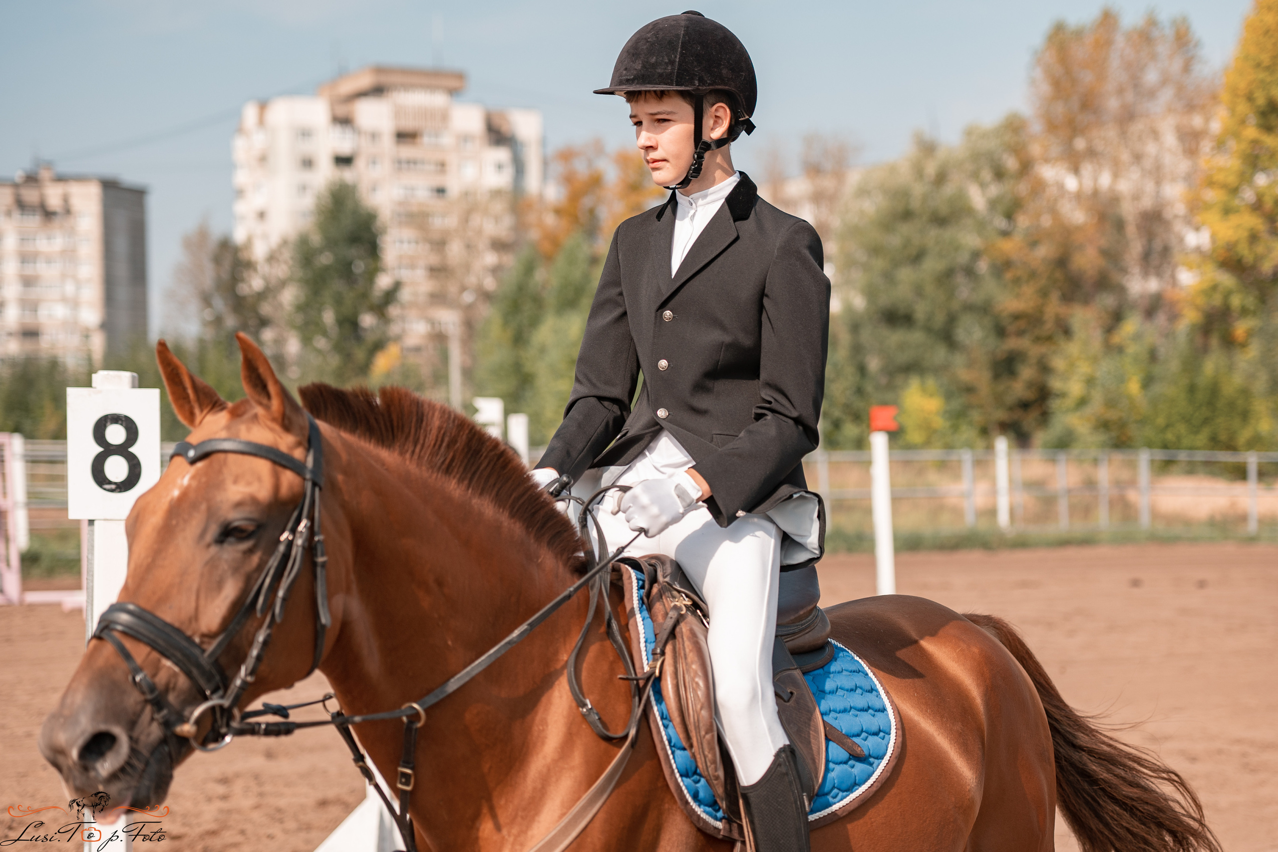 Турнир по выездке и конкуру памяти Н. Ю. Серовой (второй день — конкур). Конный и фотограф с животными в Твери Топталова Люся