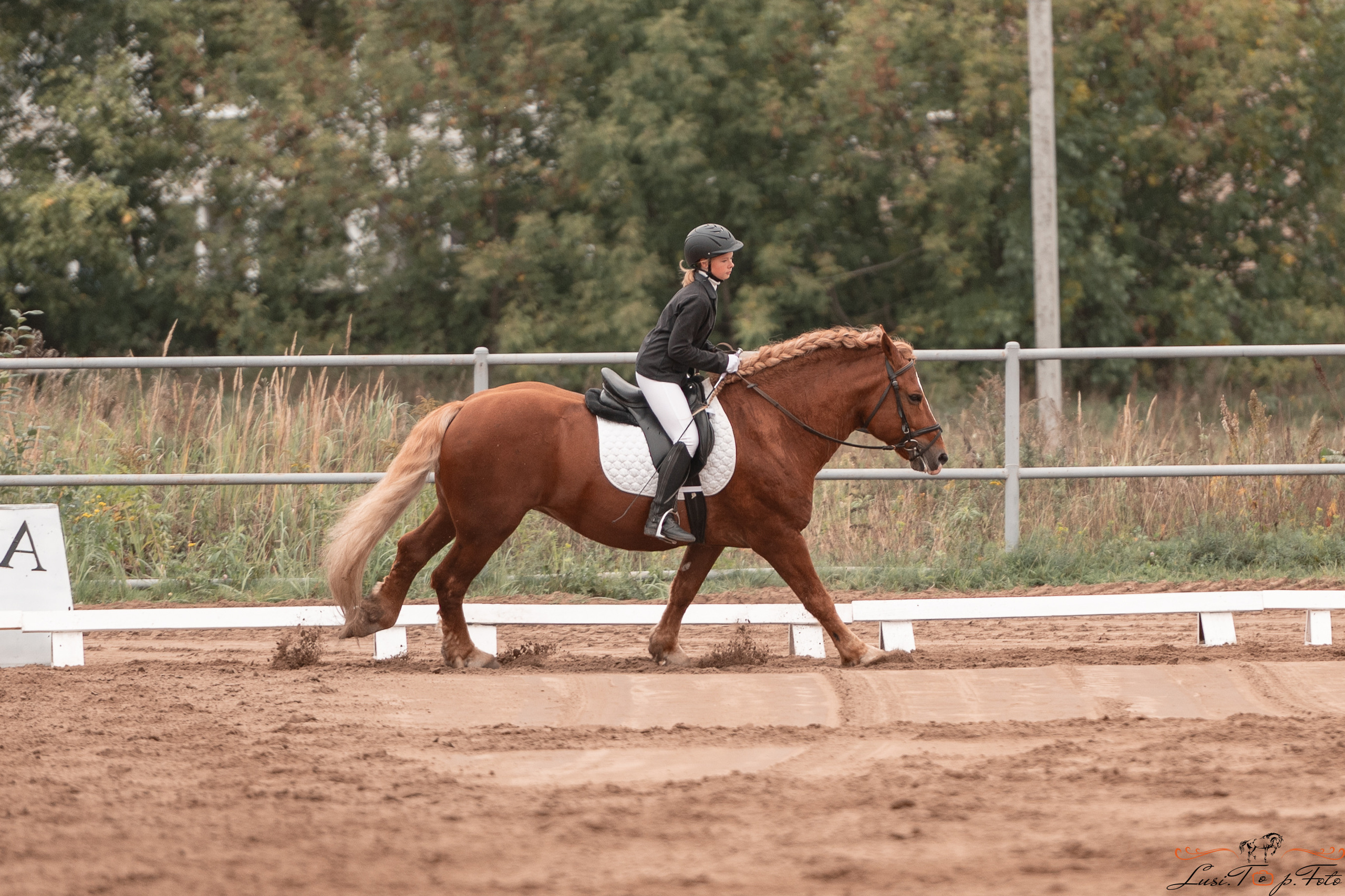 Турнир по выездке и конкуру памяти Н. Ю. Серовой (день 1 — выездка). Конный и фотограф с животными в Твери Топталова Люся