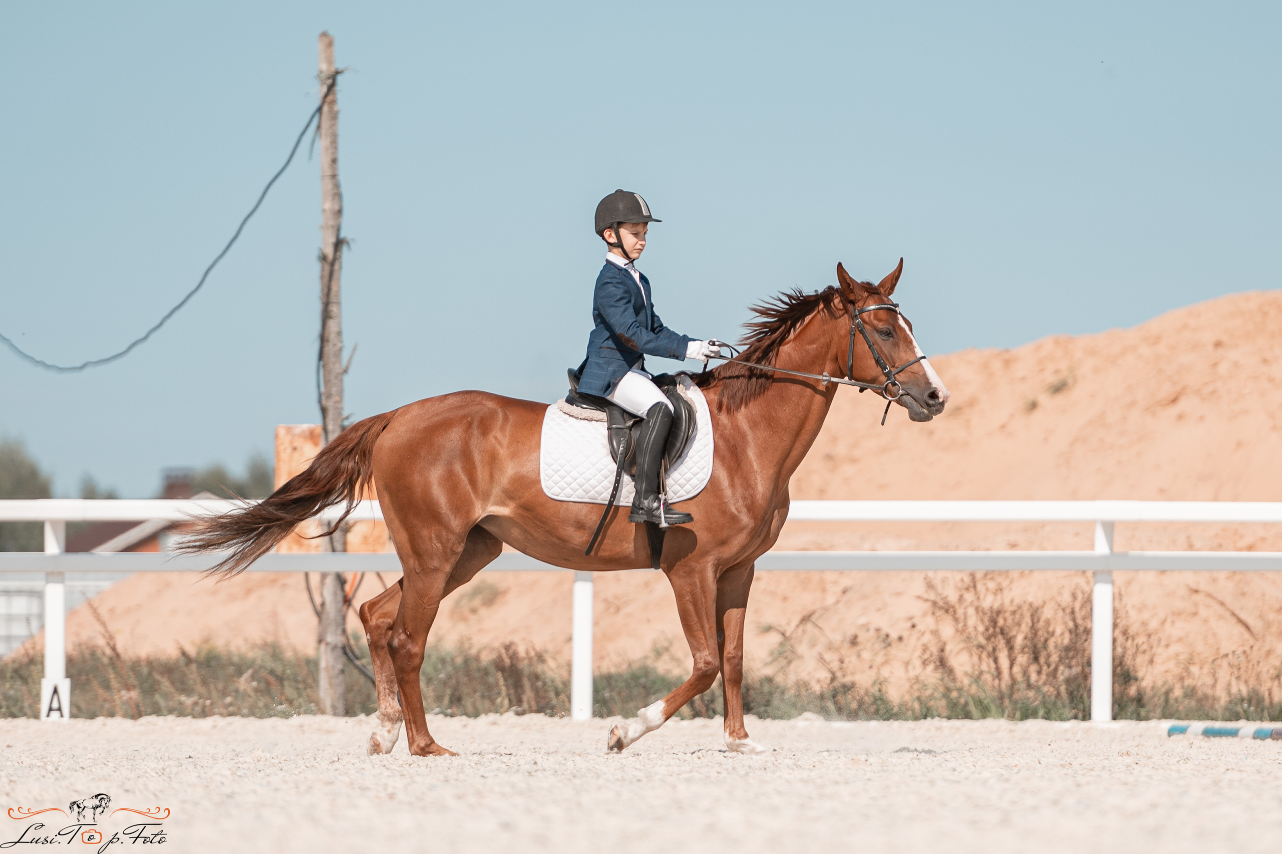 Открытая тренировка по выездке в КК Equipark. Конный и фотограф с животными в Твери Топталова Люся