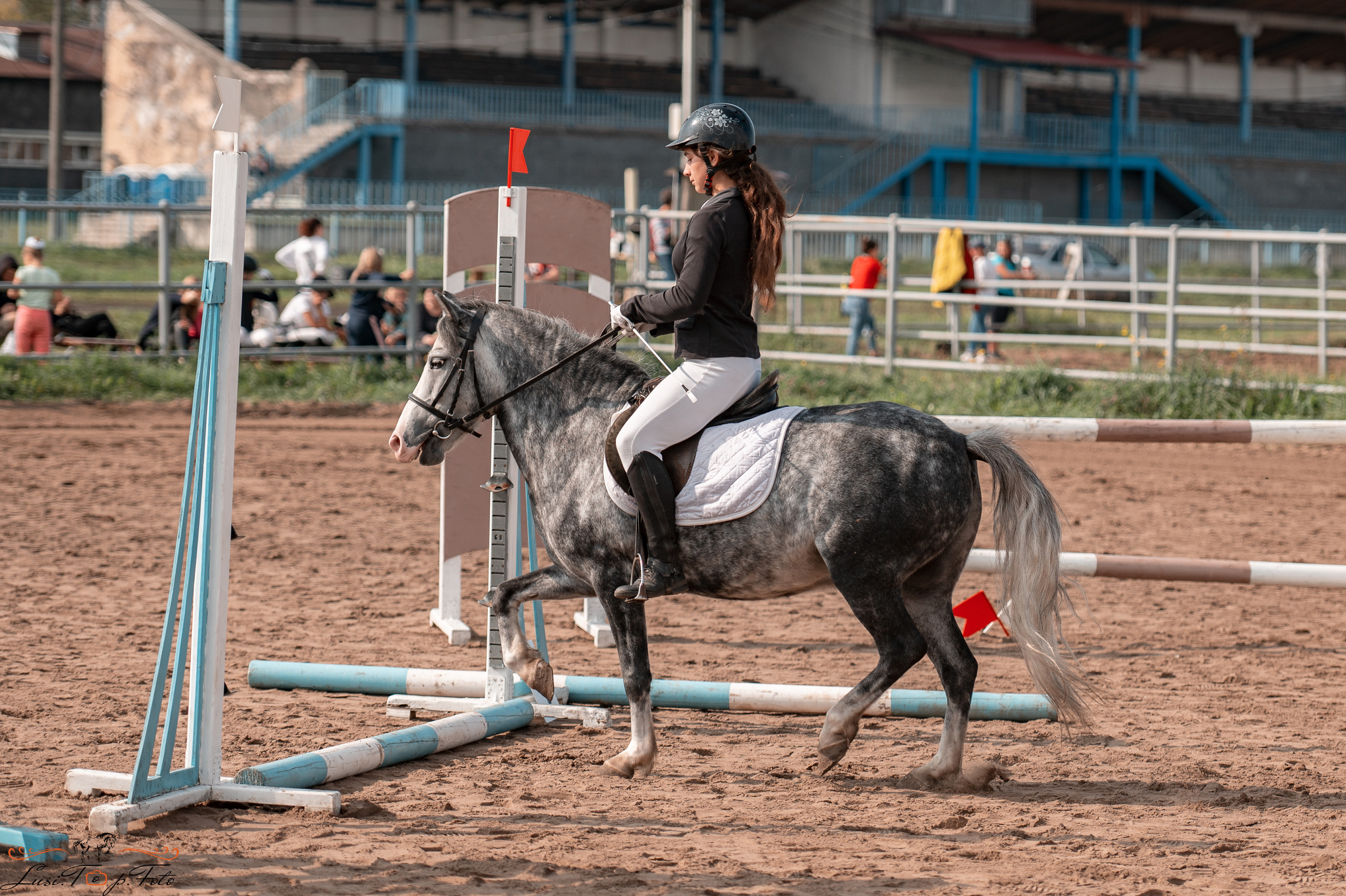 Турнир по выездке и конкуру памяти Н. Ю. Серовой (второй день — конкур). Конный и фотограф с животными в Твери Топталова Люся