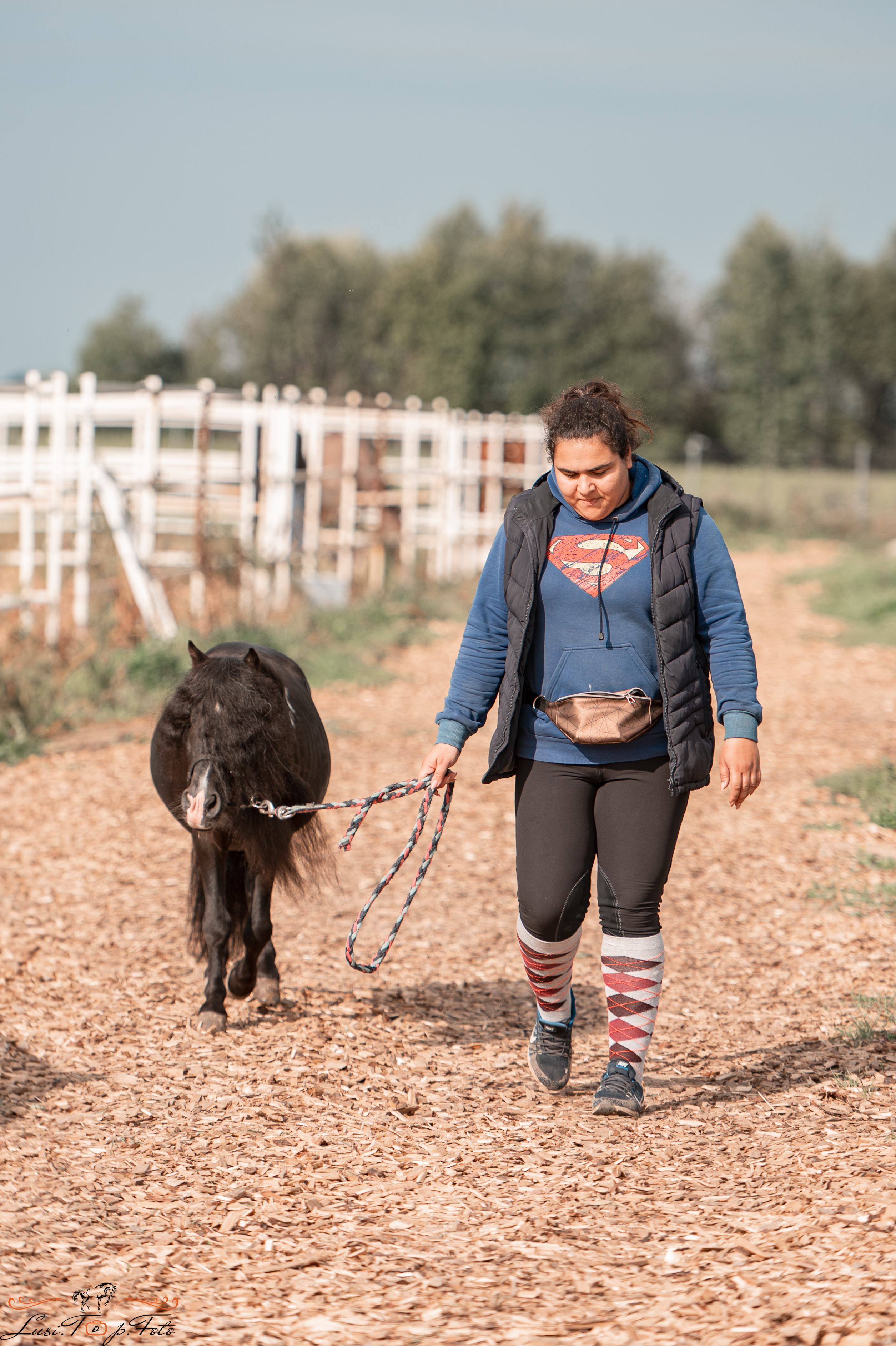 Открытая тренировка по конкуру в КК Equipark. Конный и фотограф с животными в Твери Топталова Люся