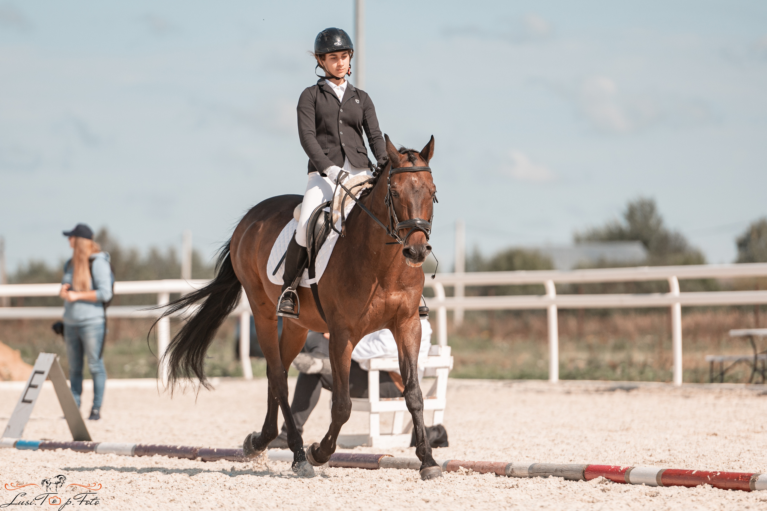 Открытая тренировка по выездке в КК Equipark. Конный и фотограф с животными в Твери Топталова Люся