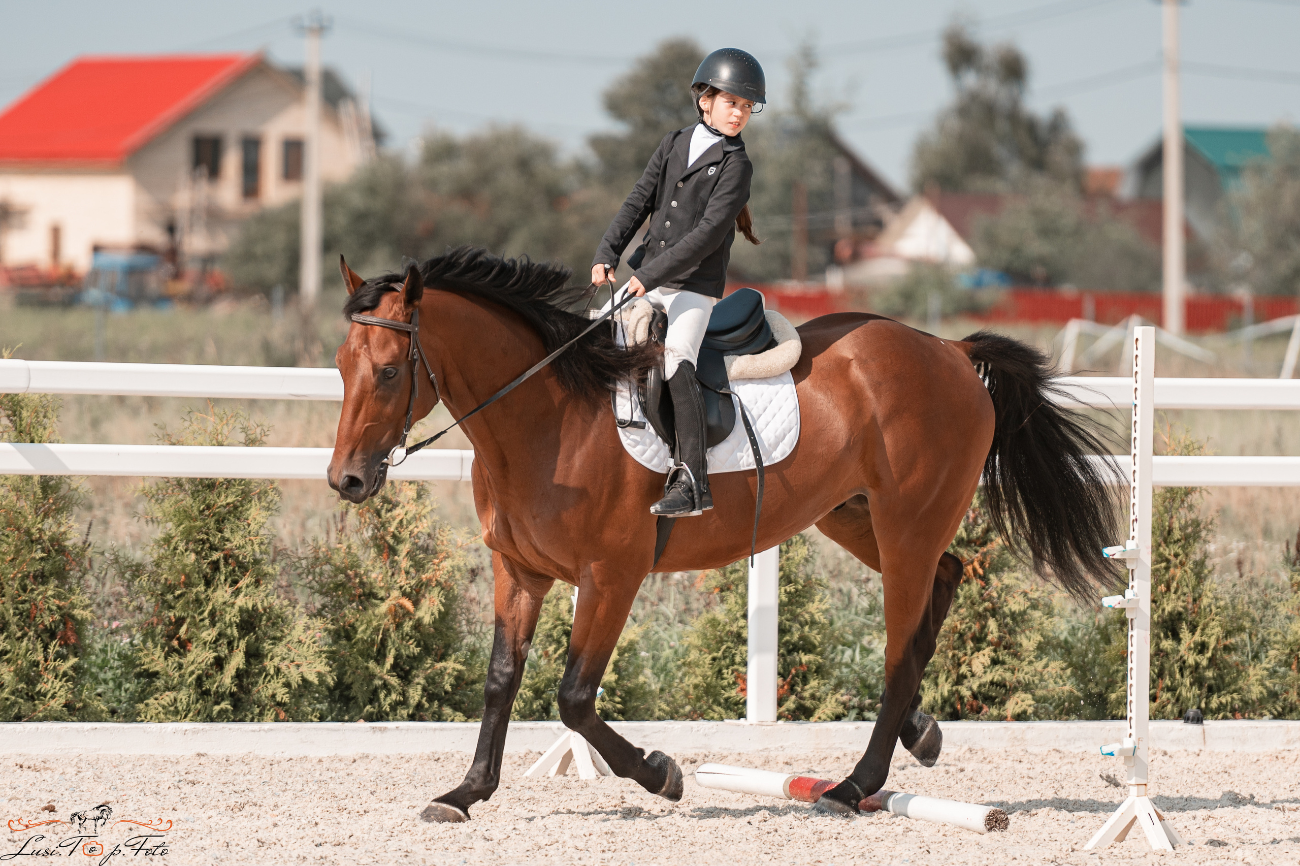 Открытая тренировка по конкуру в КК Equipark. Конный и фотограф с животными в Твери Топталова Люся