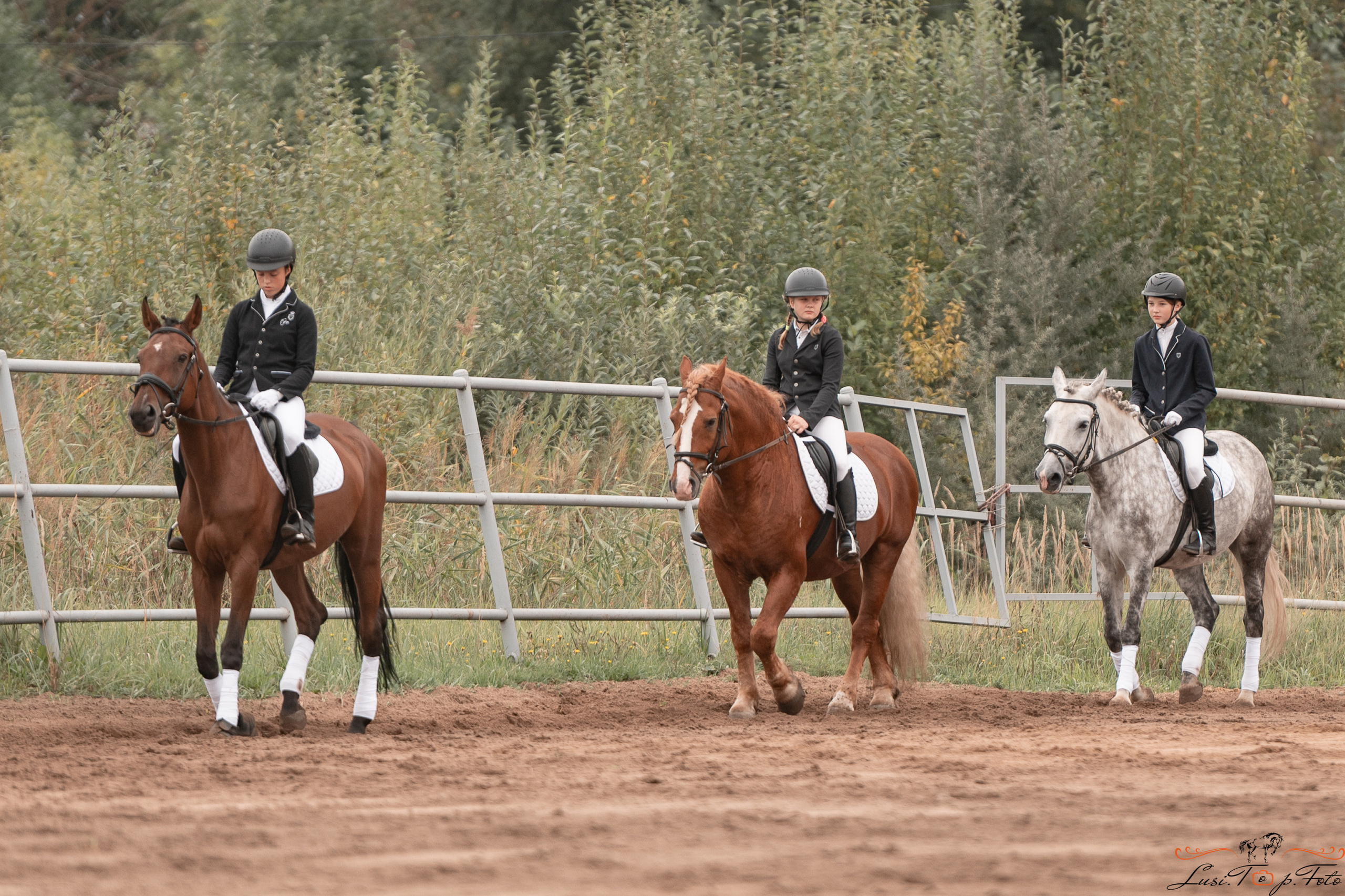 Турнир по выездке и конкуру памяти Н. Ю. Серовой (день 1 — выездка). Конный и фотограф с животными в Твери Топталова Люся