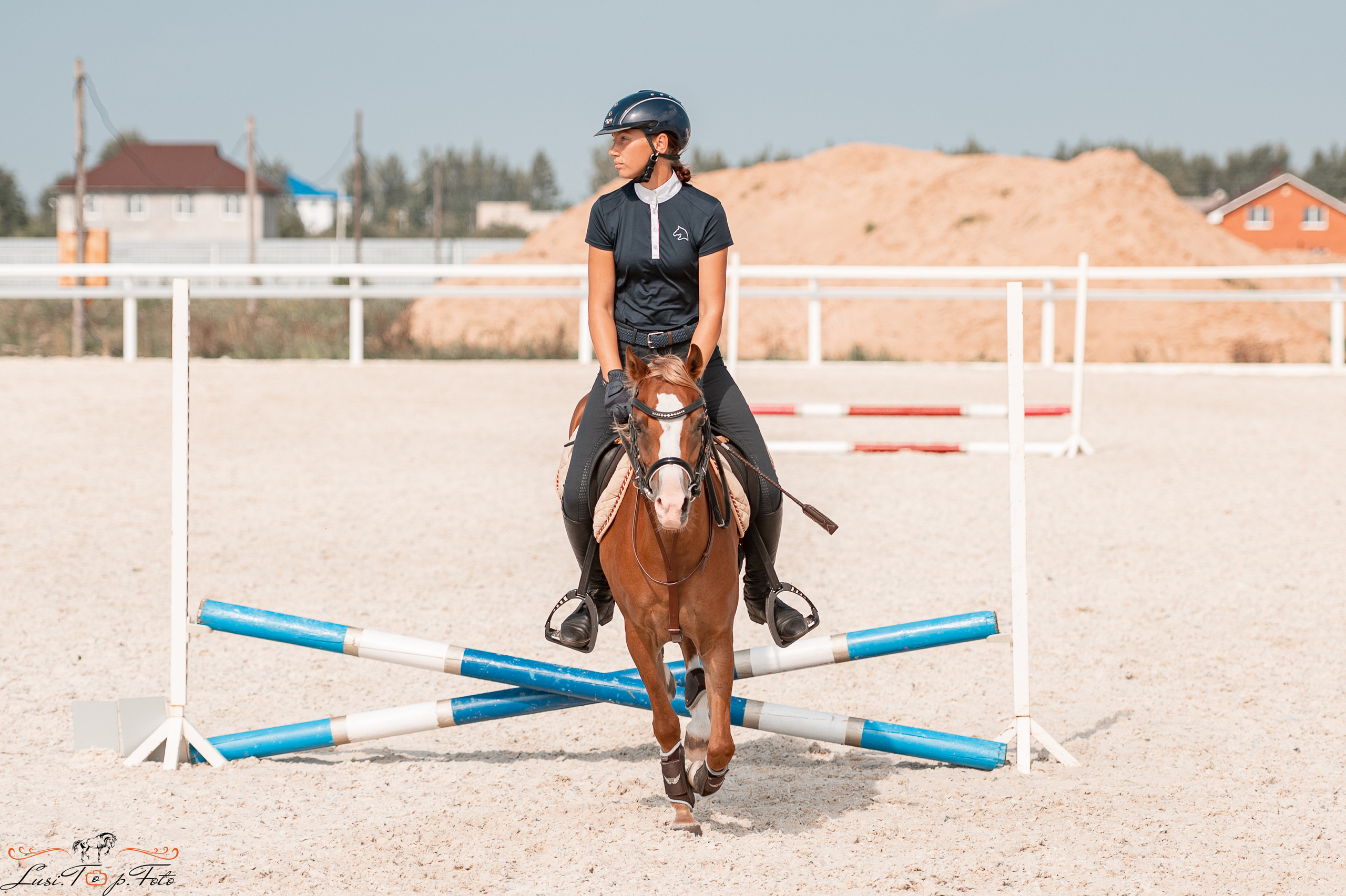 Открытая тренировка по конкуру в КК Equipark. Конный и фотограф с животными в Твери Топталова Люся