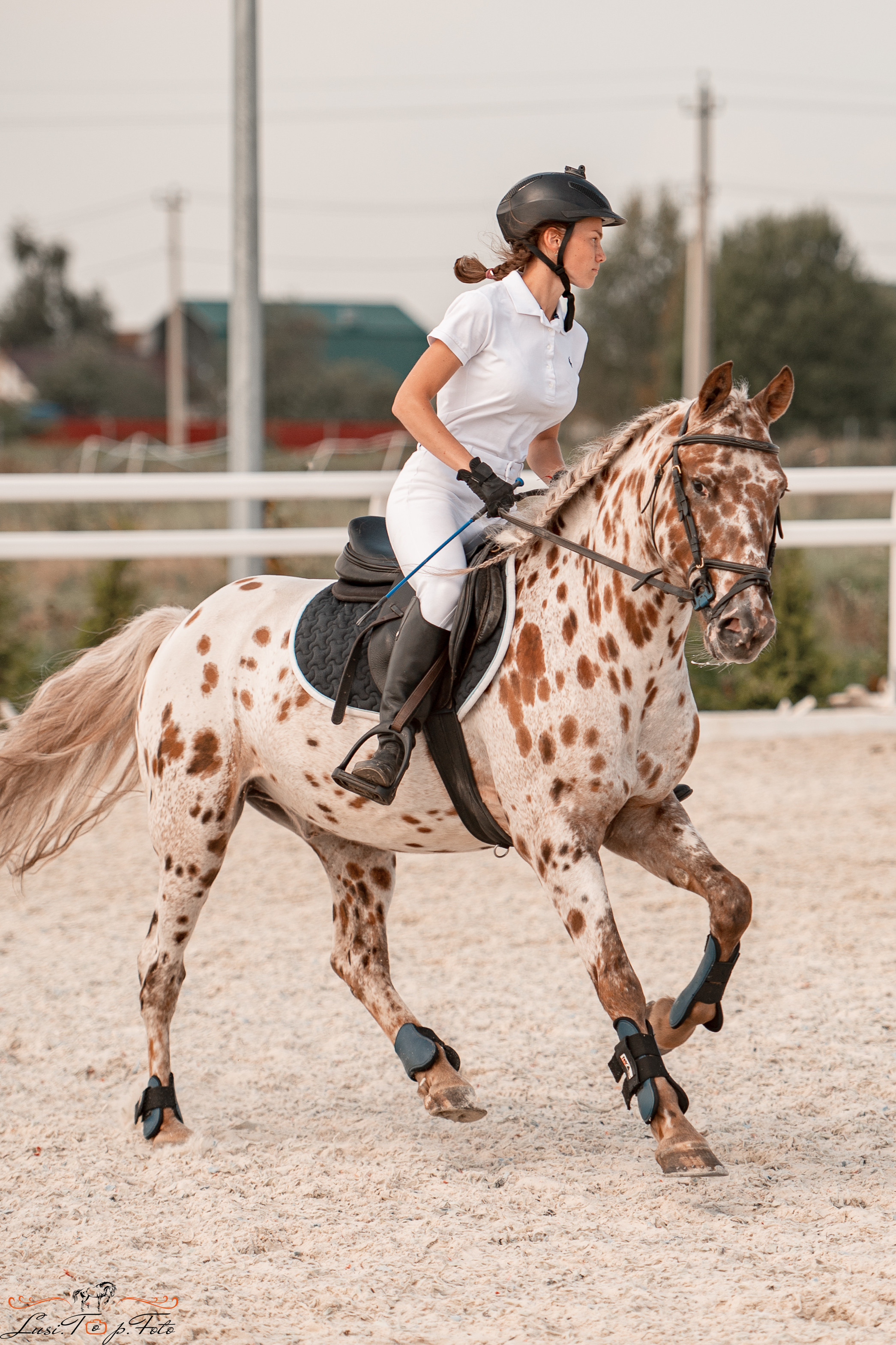 Открытая тренировка по конкуру в КК Equipark. Конный и фотограф с животными в Твери Топталова Люся