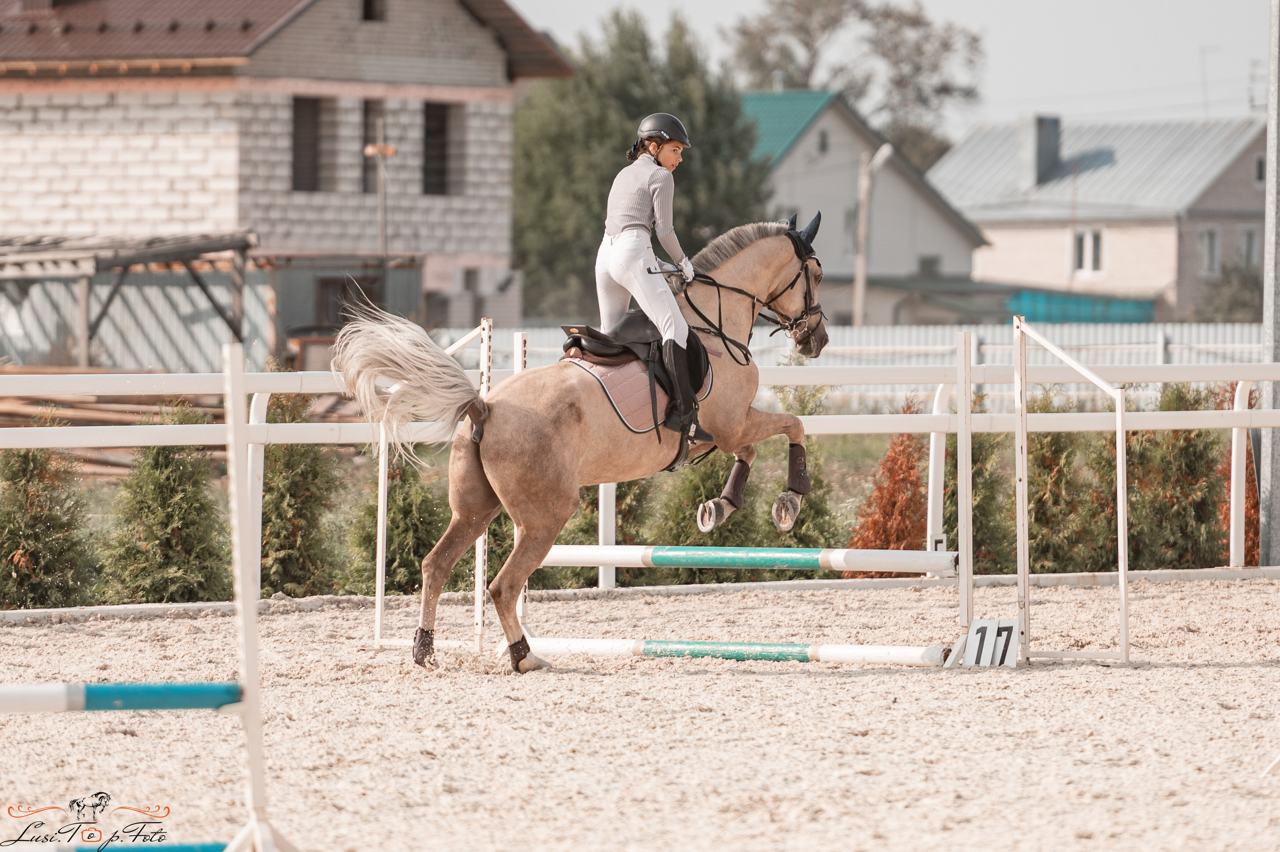 Открытая тренировка по конкуру в КК Equipark. Конный и фотограф с животными в Твери Топталова Люся