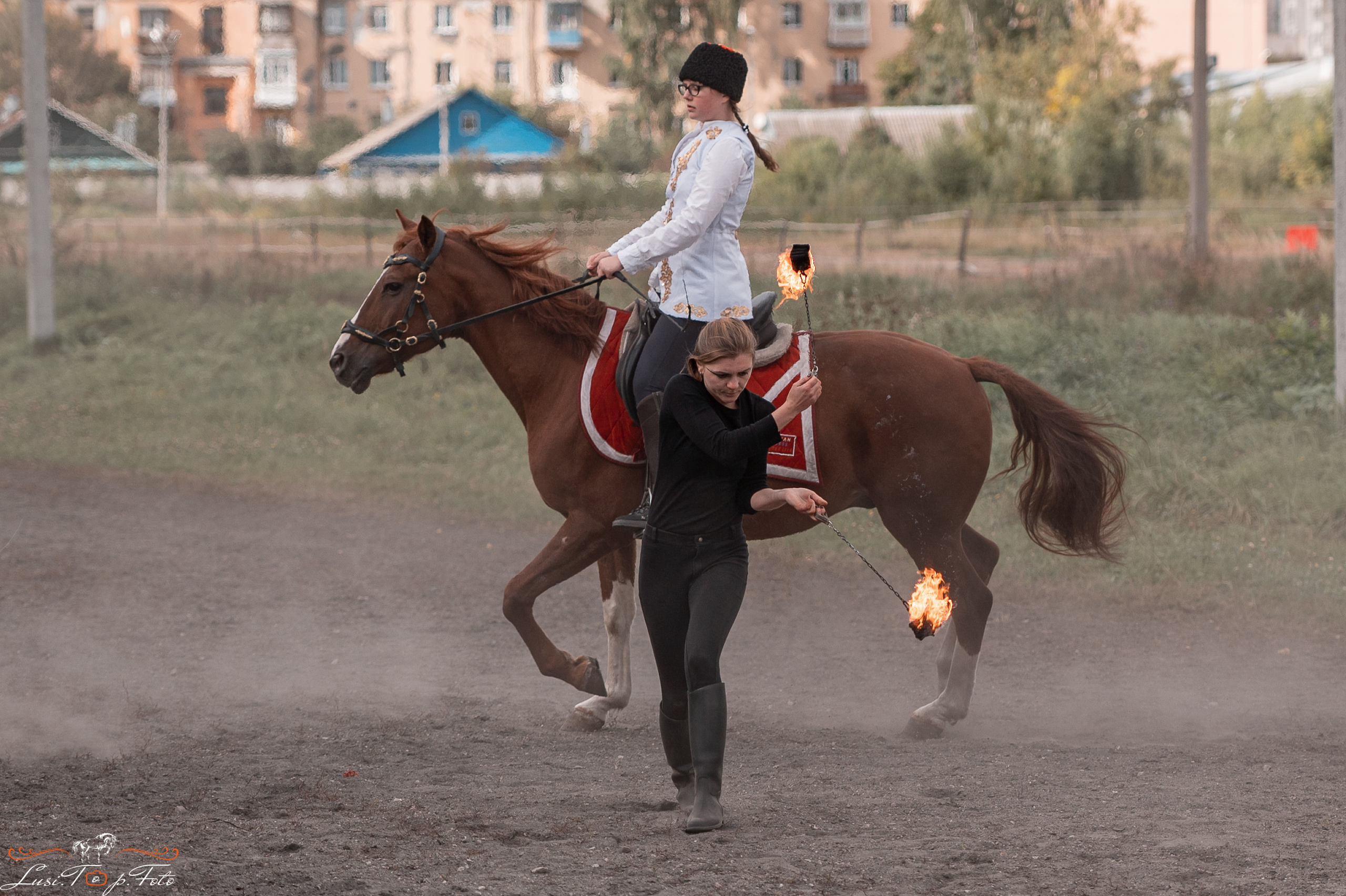 День лошади 2021. Конный и фотограф с животными в Твери Топталова Люся