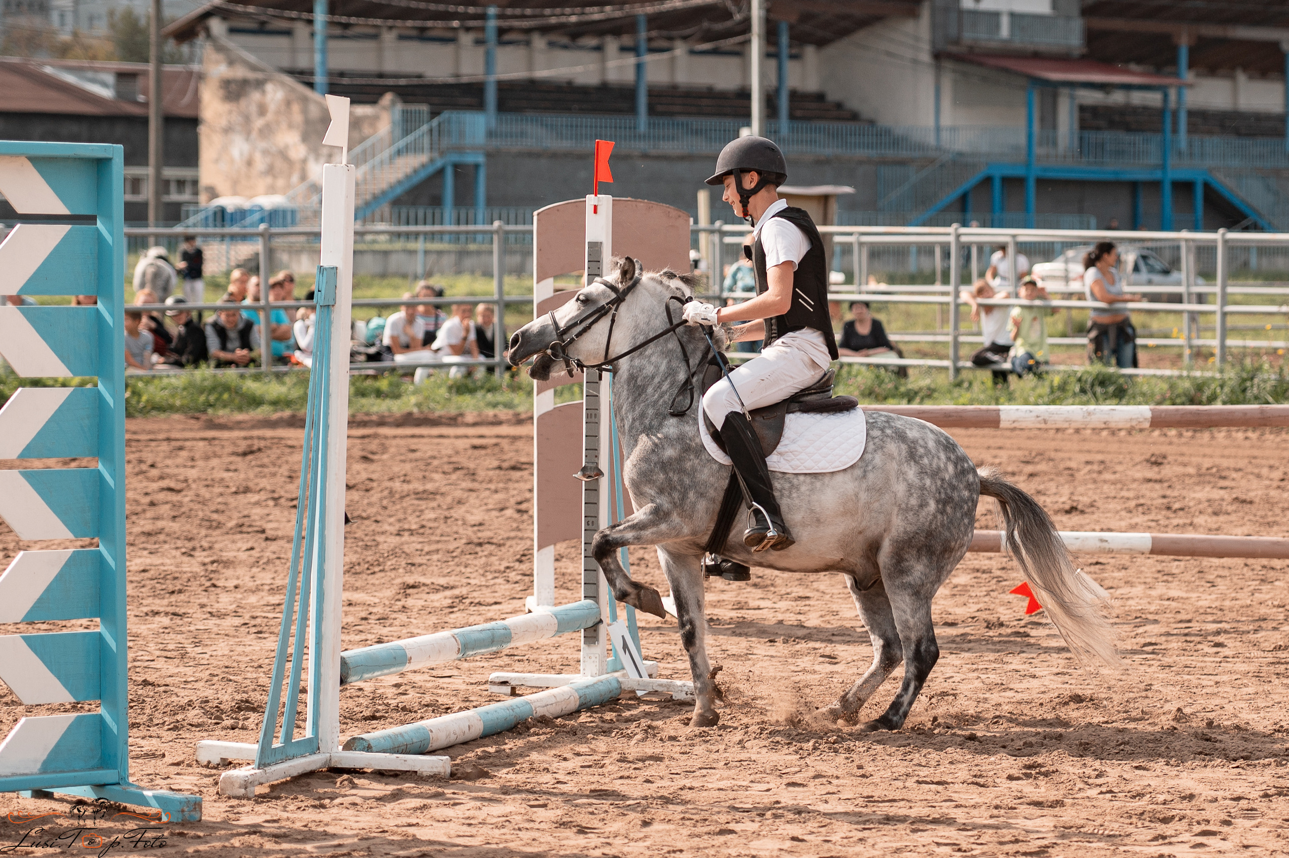 Турнир по выездке и конкуру памяти Н. Ю. Серовой (второй день — конкур). Конный и фотограф с животными в Твери Топталова Люся