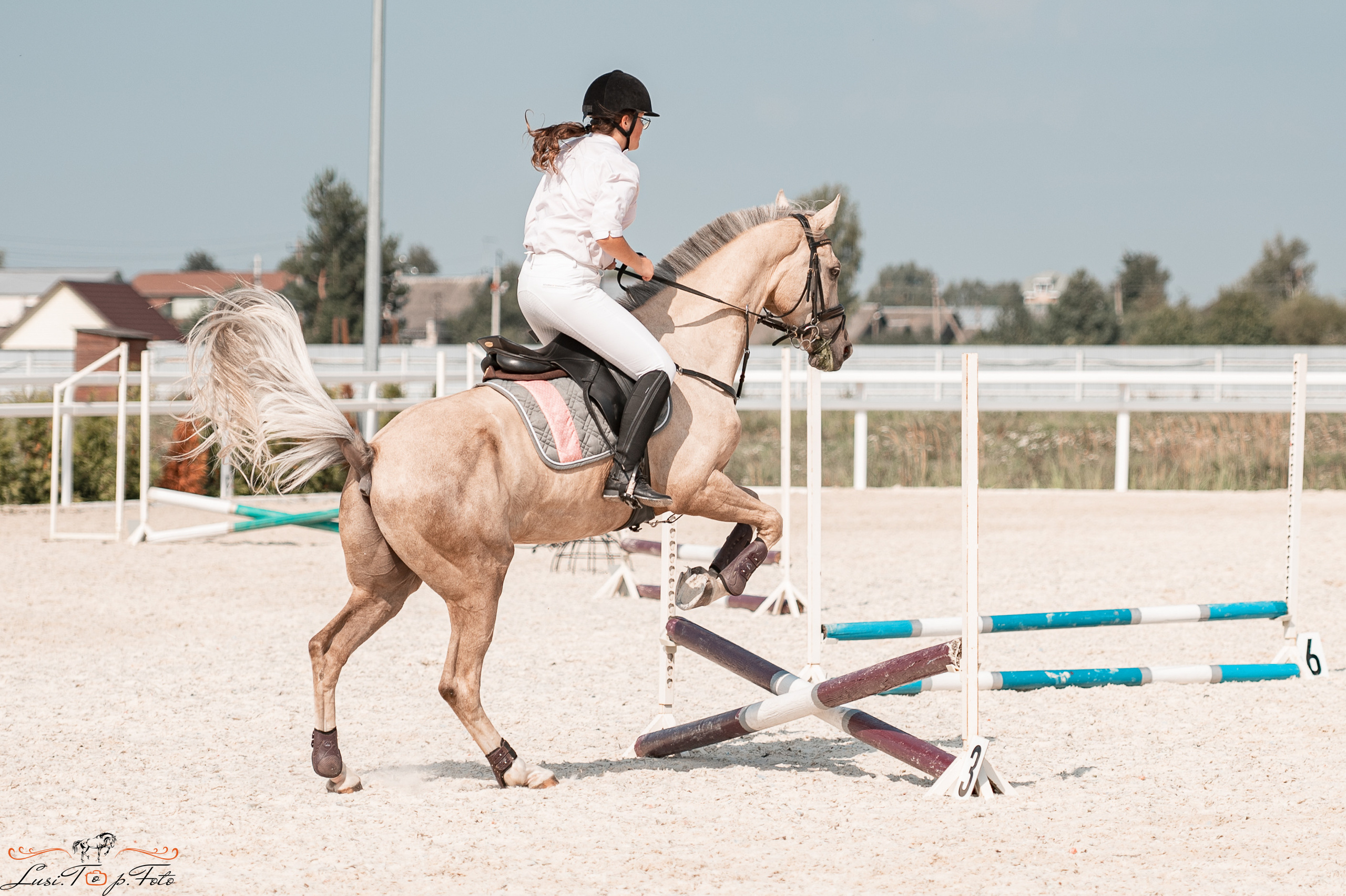 Открытая тренировка по конкуру в КК Equipark. Конный и фотограф с животными в Твери Топталова Люся