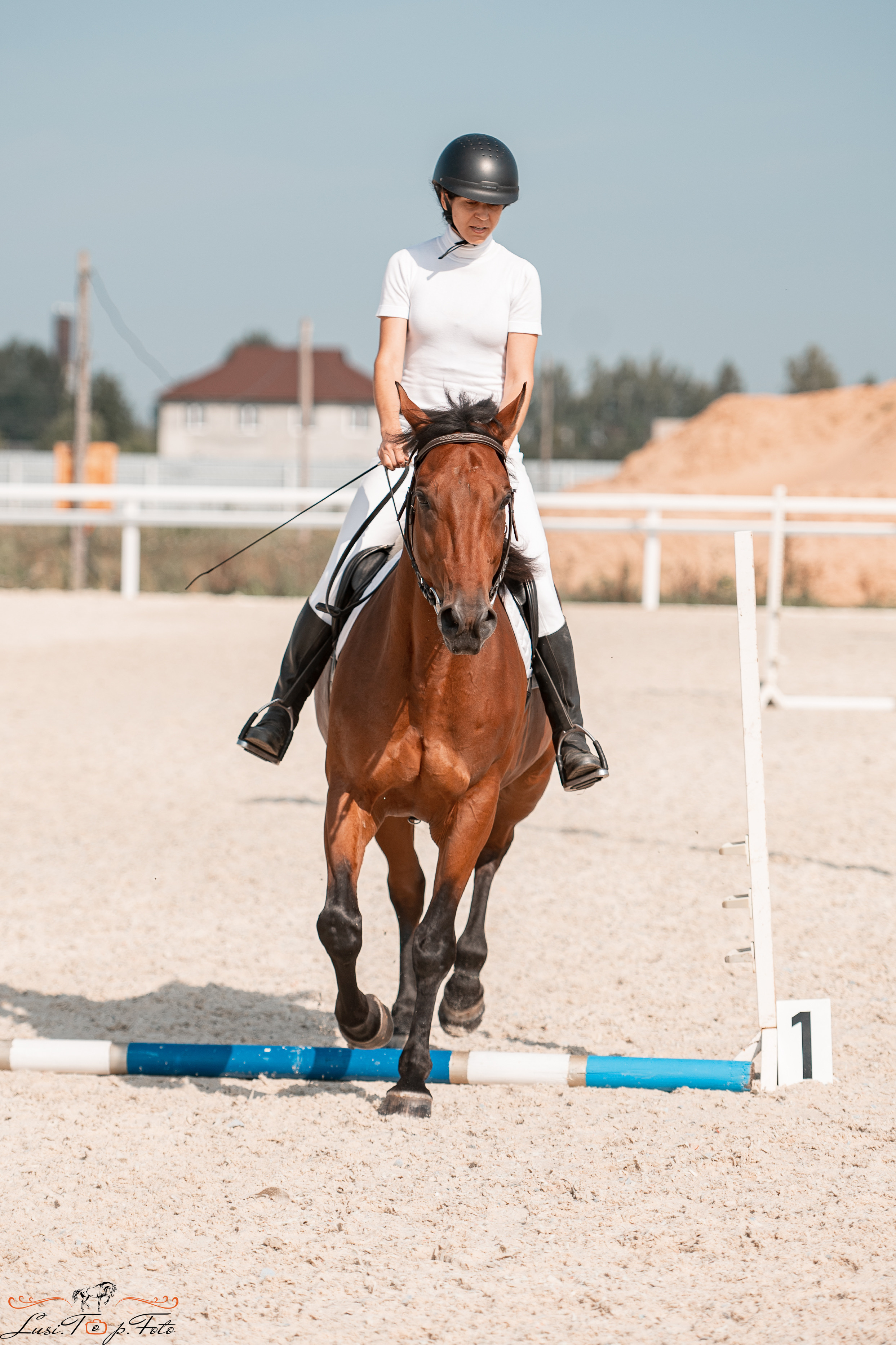 Открытая тренировка по конкуру в КК Equipark. Конный и фотограф с животными в Твери Топталова Люся