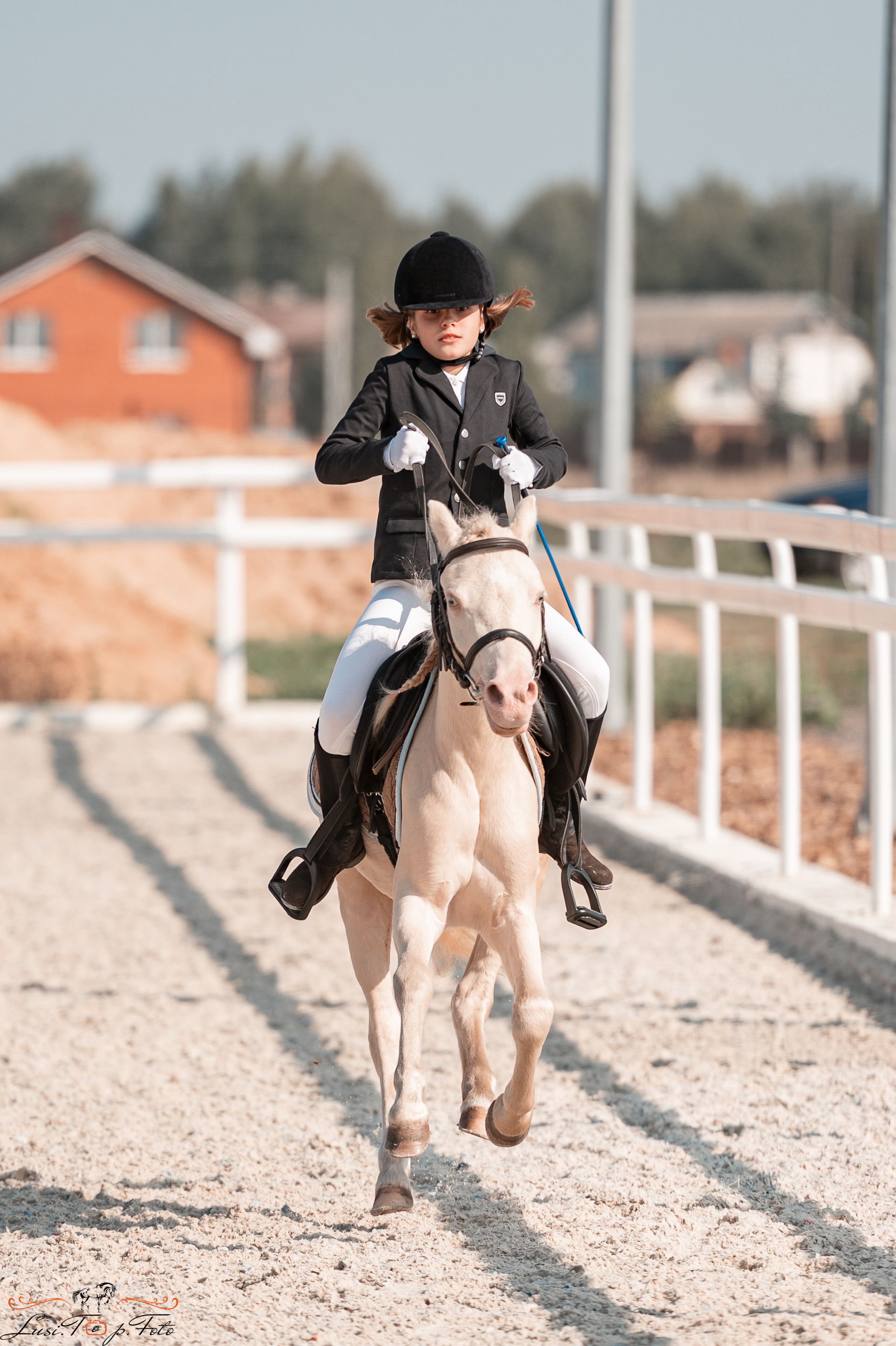 Открытая тренировка по конкуру в КК Equipark. Конный и фотограф с животными в Твери Топталова Люся