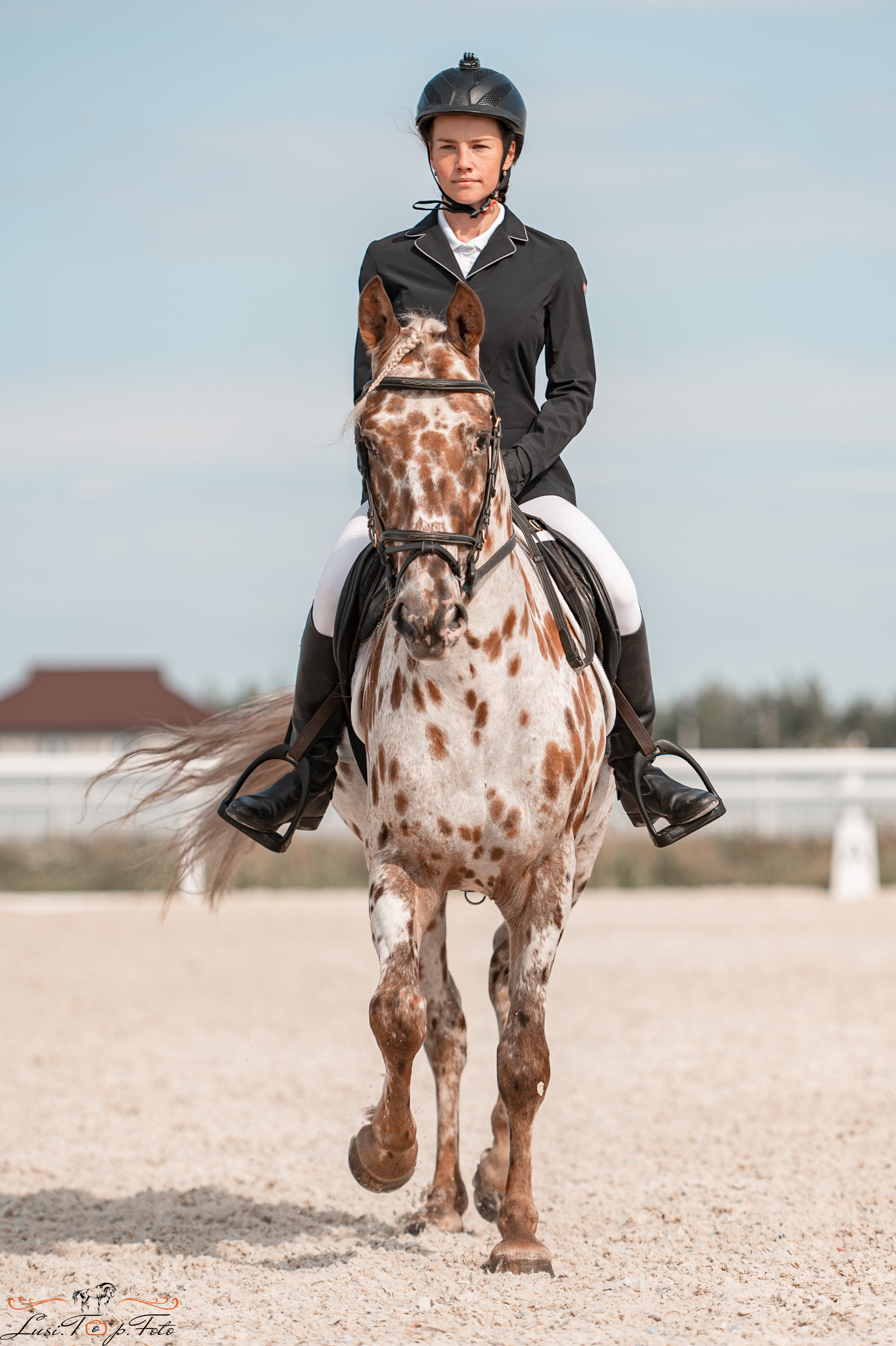 Открытая тренировка по выездке в КК Equipark. Конный и фотограф с животными в Твери Топталова Люся