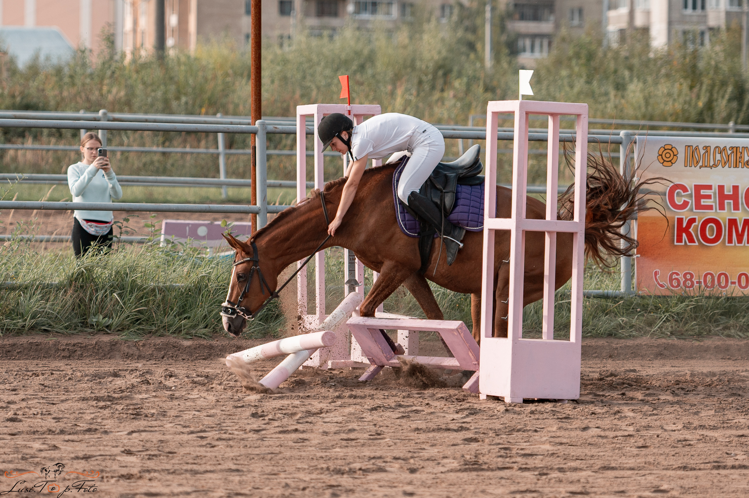 Турнир по выездке и конкуру памяти Н. Ю. Серовой (второй день — конкур). Конный и фотограф с животными в Твери Топталова Люся
