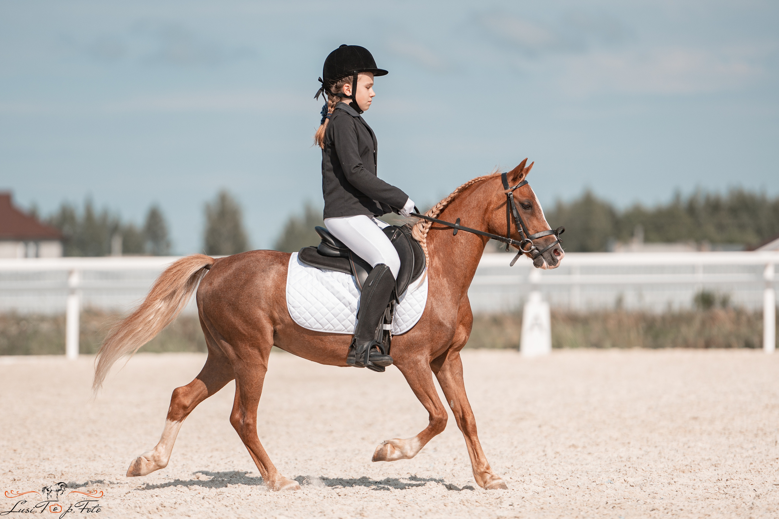 Открытая тренировка по выездке в КК Equipark. Конный и фотограф с животными в Твери Топталова Люся