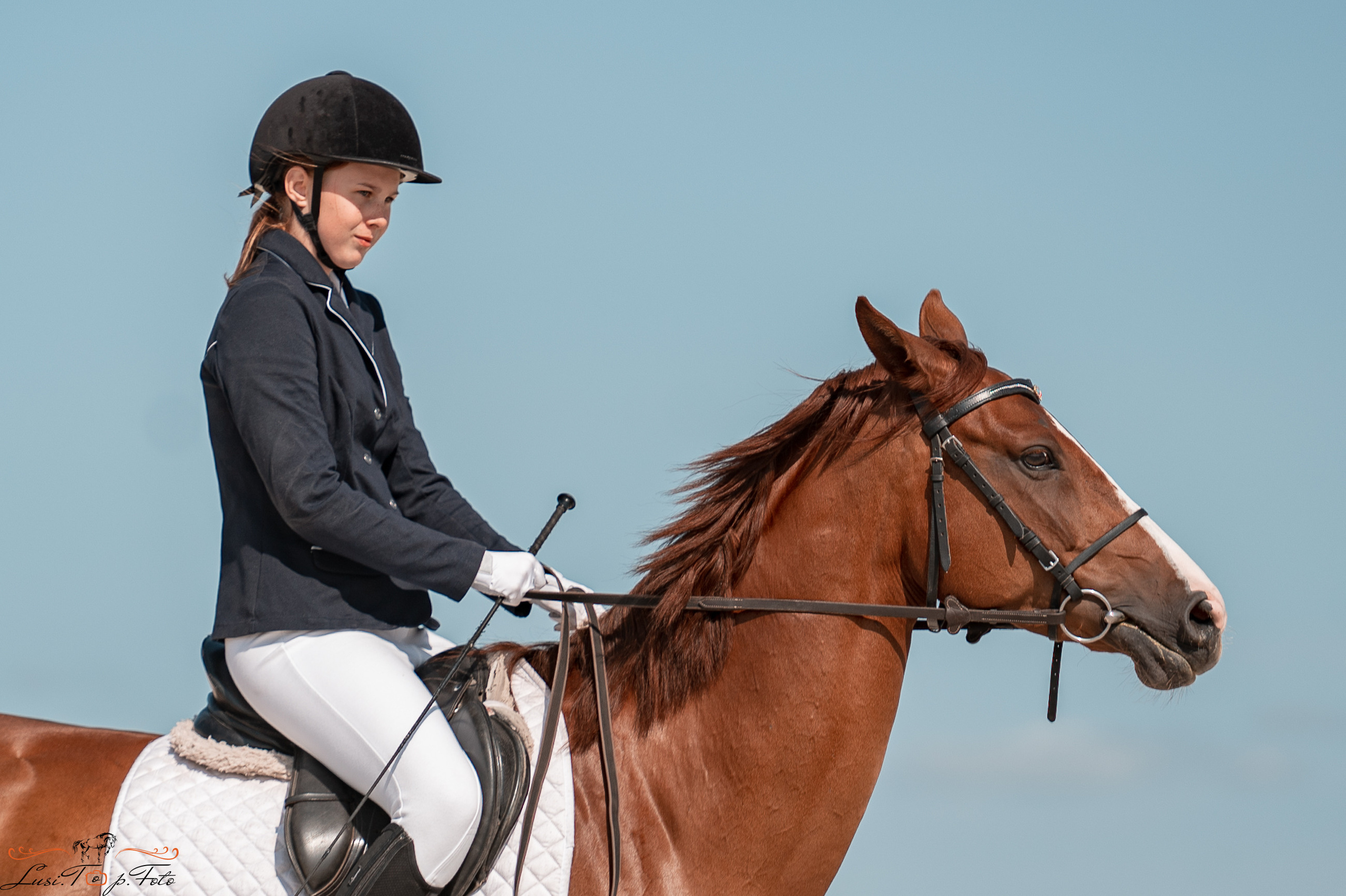 Открытая тренировка по выездке в КК Equipark. Конный и фотограф с животными в Твери Топталова Люся