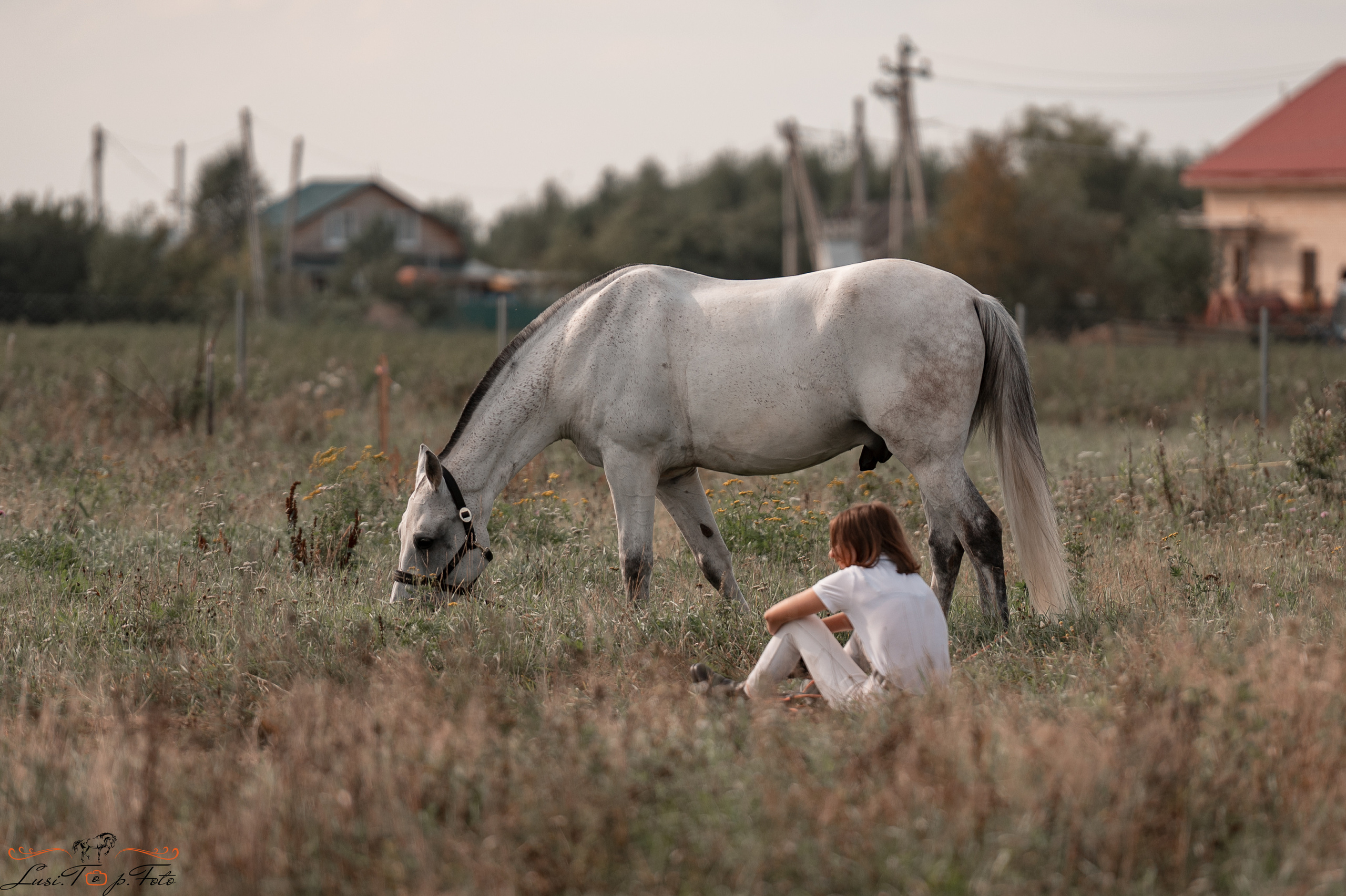 Открытая тренировка по конкуру в КК Equipark. Конный и фотограф с животными в Твери Топталова Люся