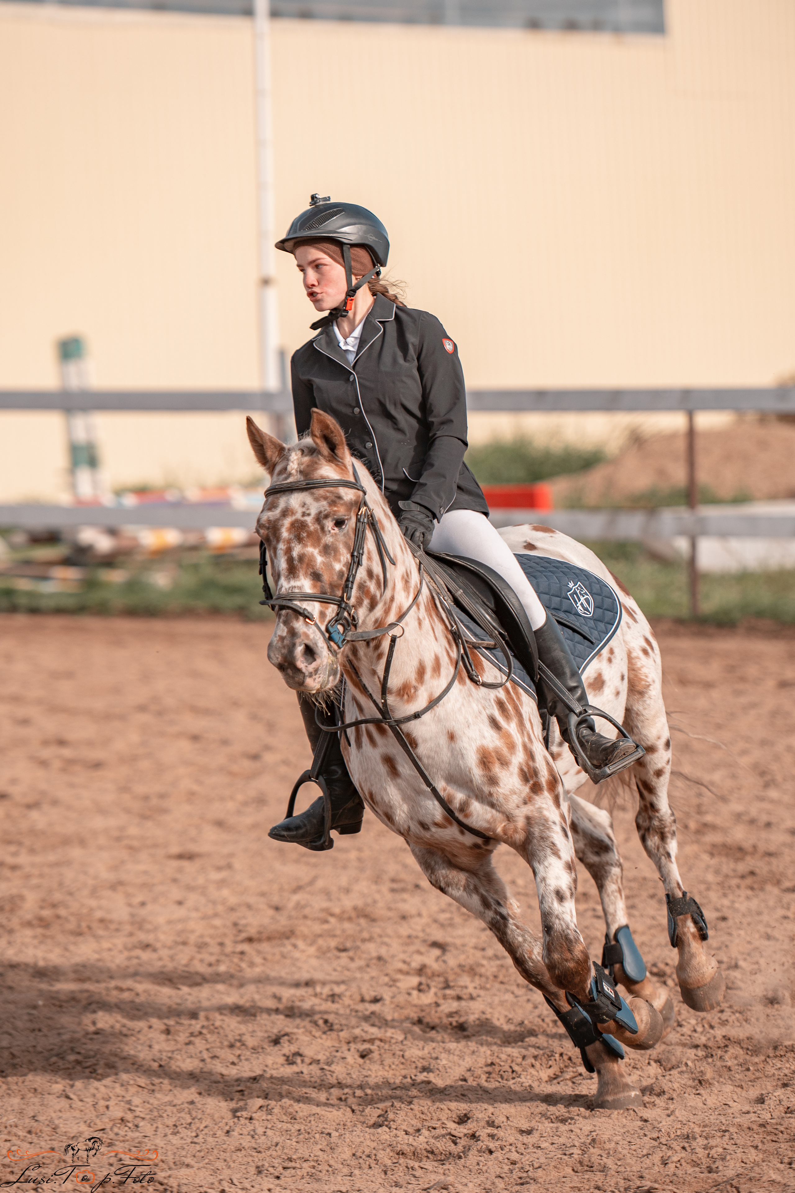 Открытая тренировка КК «Резвая». Конный и фотограф с животными в Твери Топталова Люся