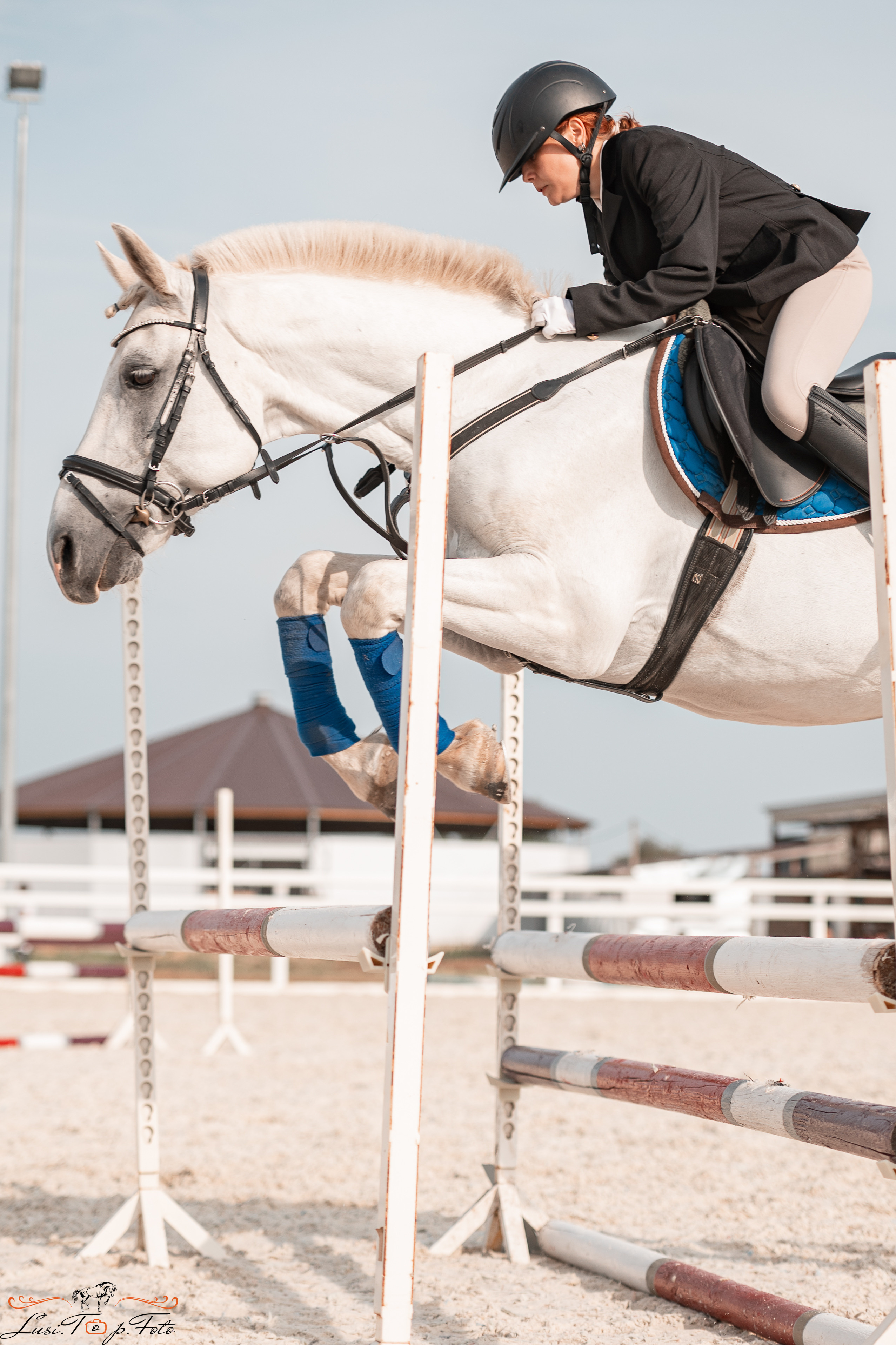 Открытая тренировка по конкуру в КК Equipark. Конный и фотограф с животными в Твери Топталова Люся